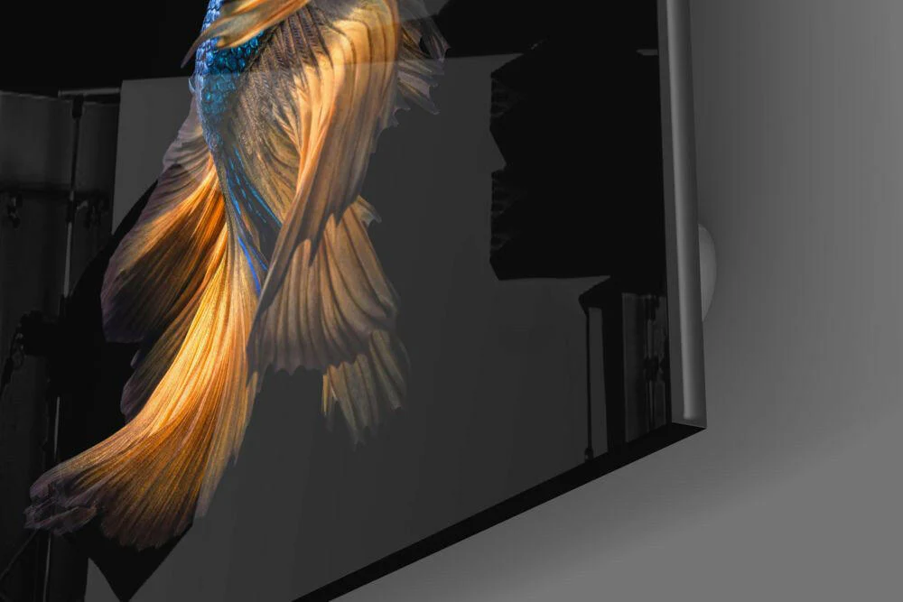 Betta Fish Glass Wall Art - Image 3