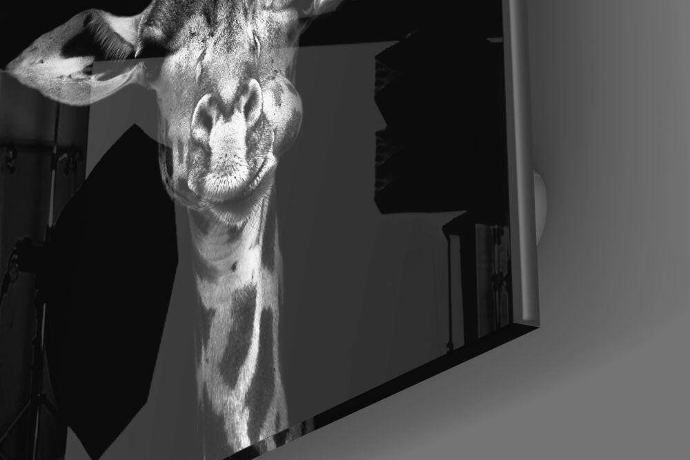 Giraffe Glass Wall Art - Image 3