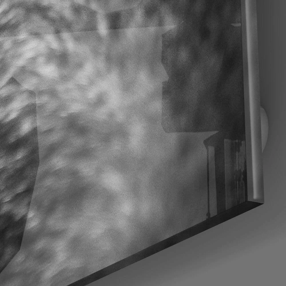 Wolf's Eye Glass Wall Art - Image 3