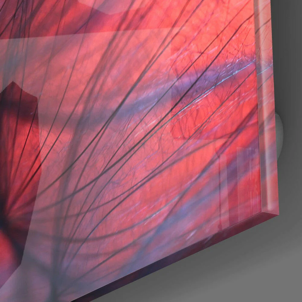 Red Dandelion Glass Wall Art - Image 3