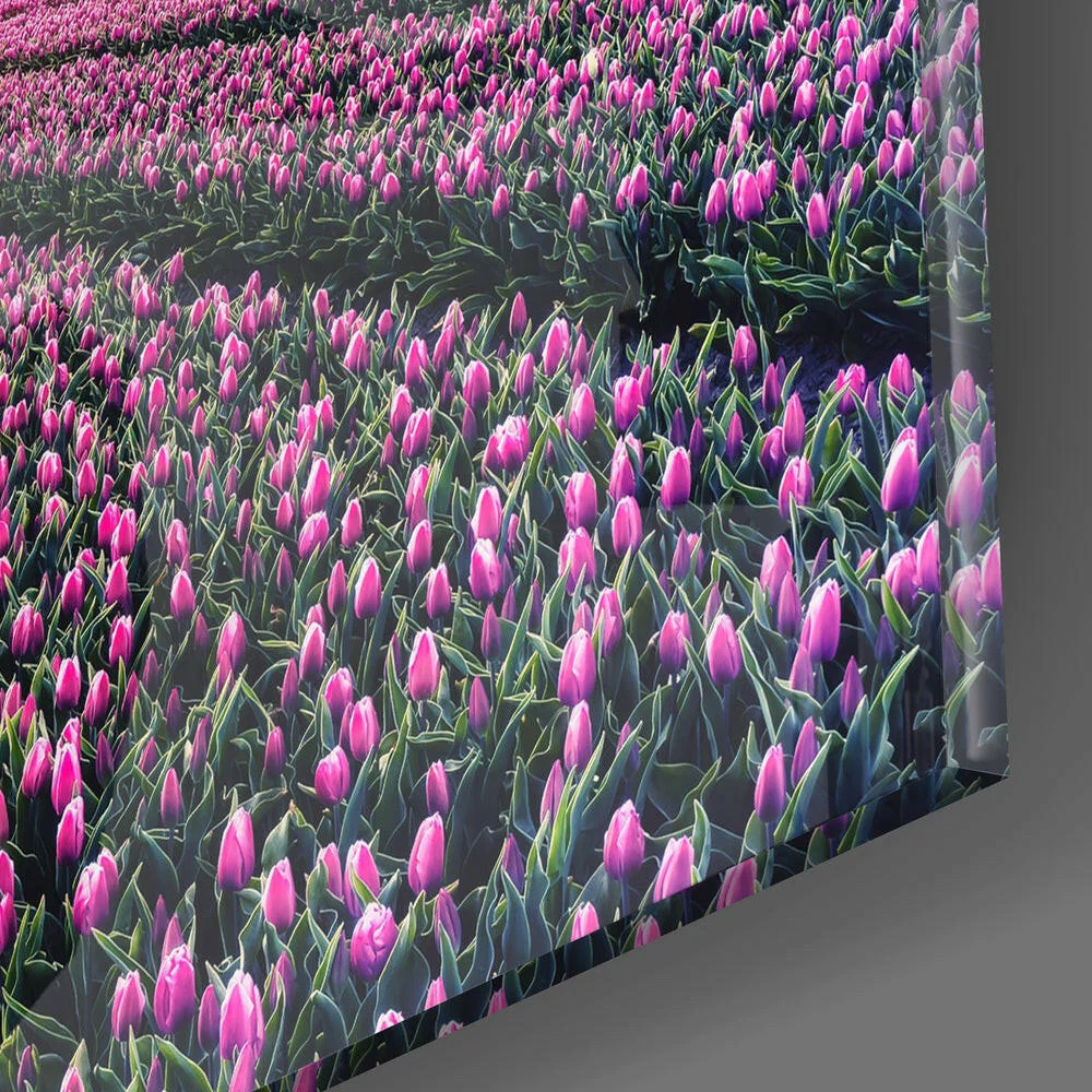 Tulip Field Glass Wall Art - Image 2