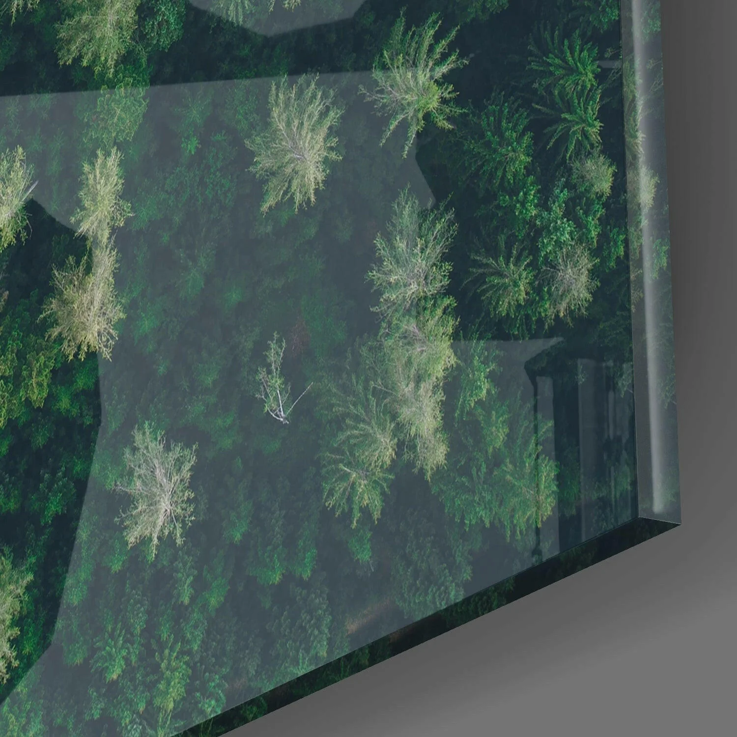 Forest Road Glass Wall Art - Image 2