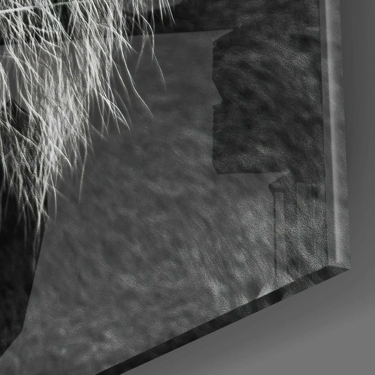 Tiger's Look Glass Wall Art - Image 3