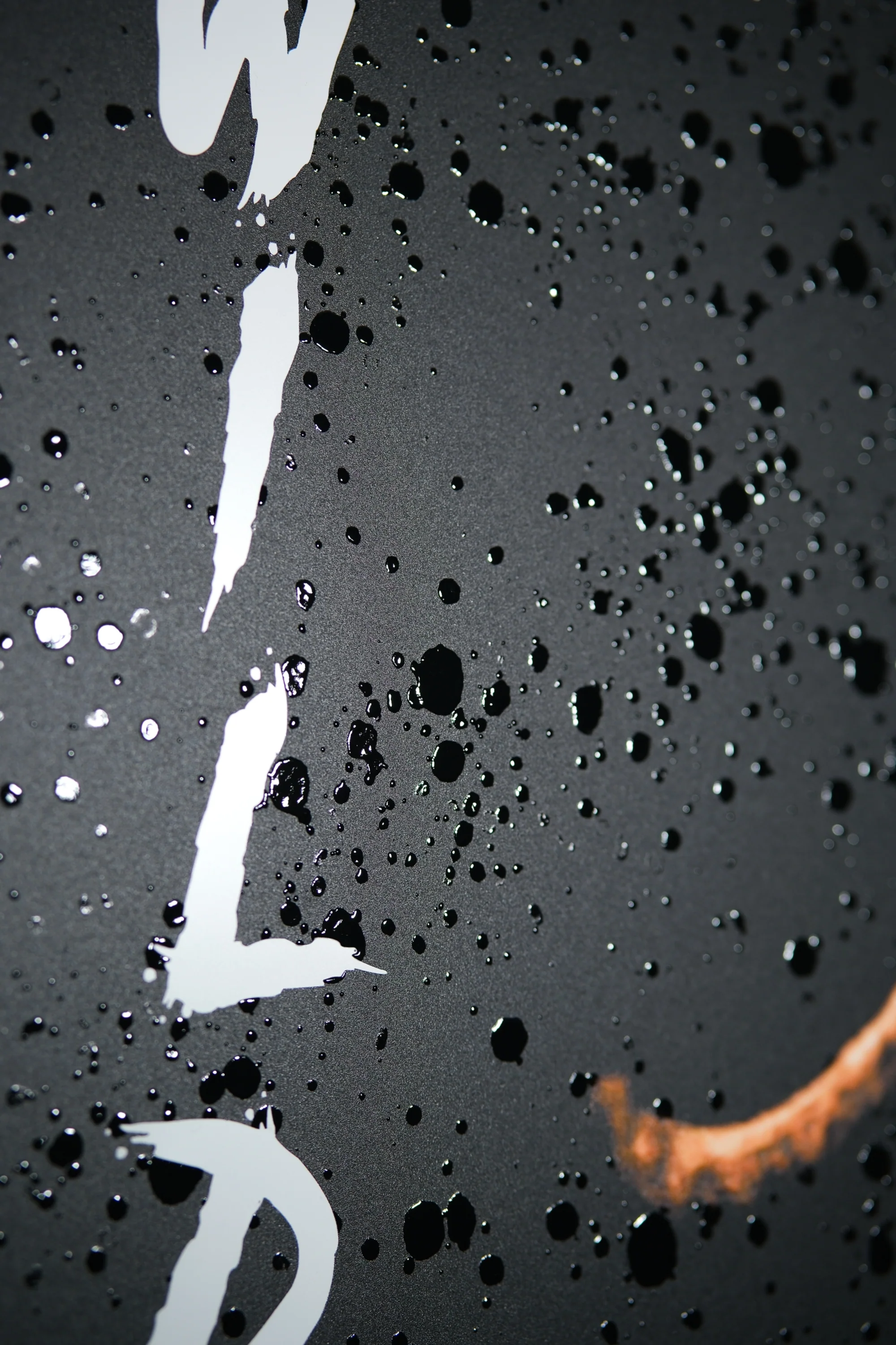 Lacquer Rain King — Haptic 3D Embossed + Pure Gloss Lacquer Print - Image 5