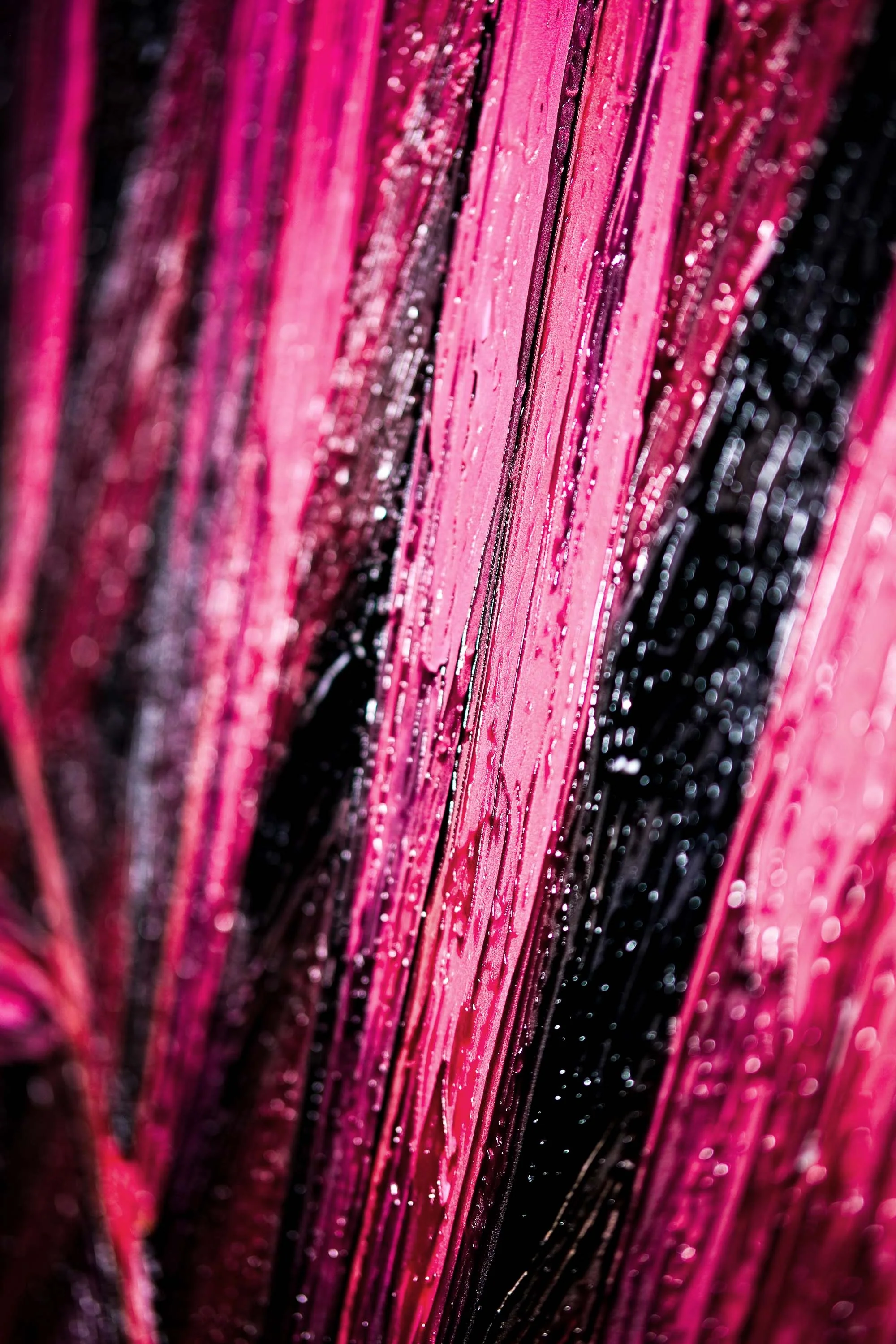 Magenta Midnight Frond — A Sculpted Pulse of Tropical Velvet - Image 2