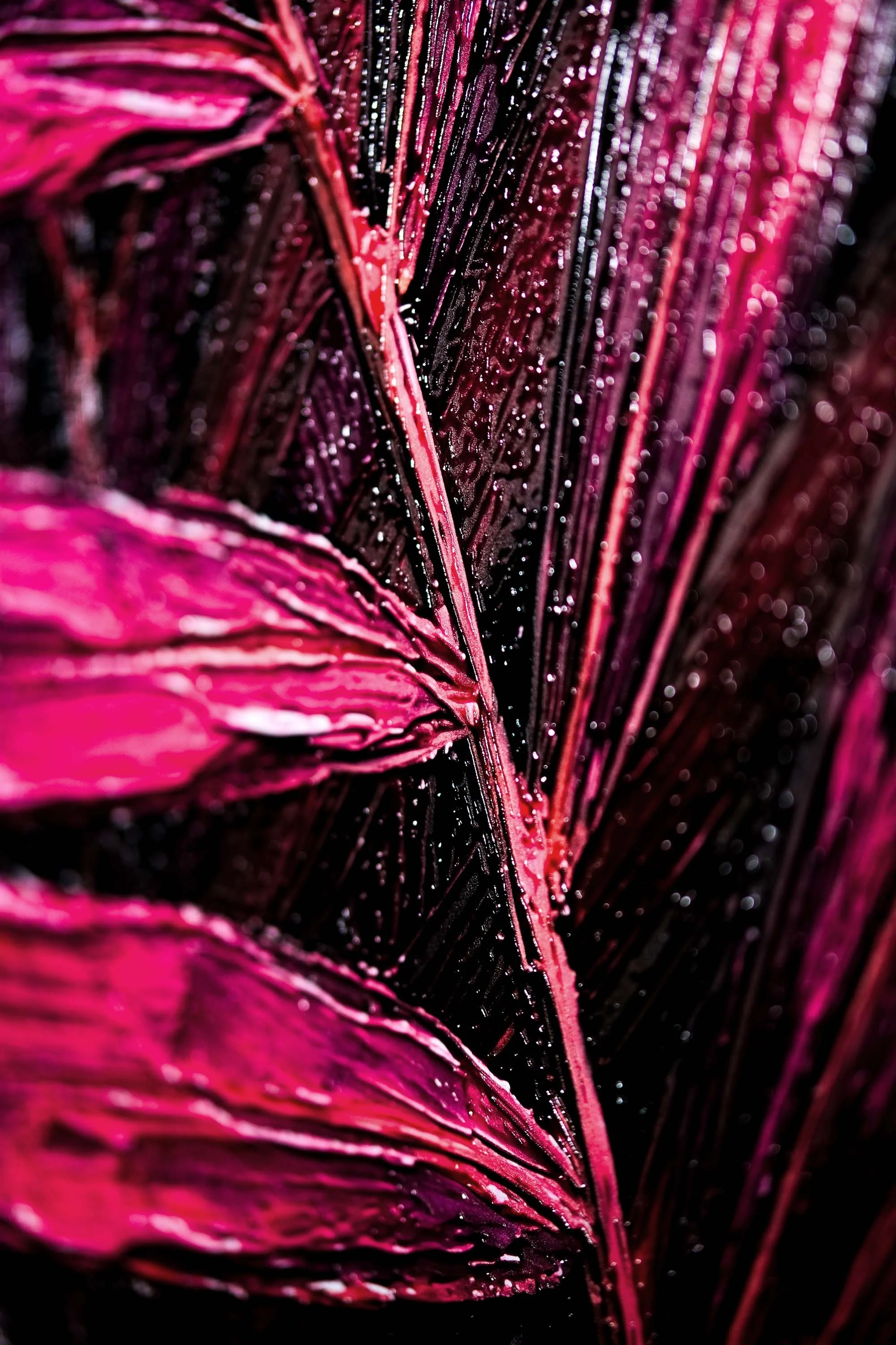Magenta Midnight Frond — A Sculpted Pulse of Tropical Velvet - Image 3