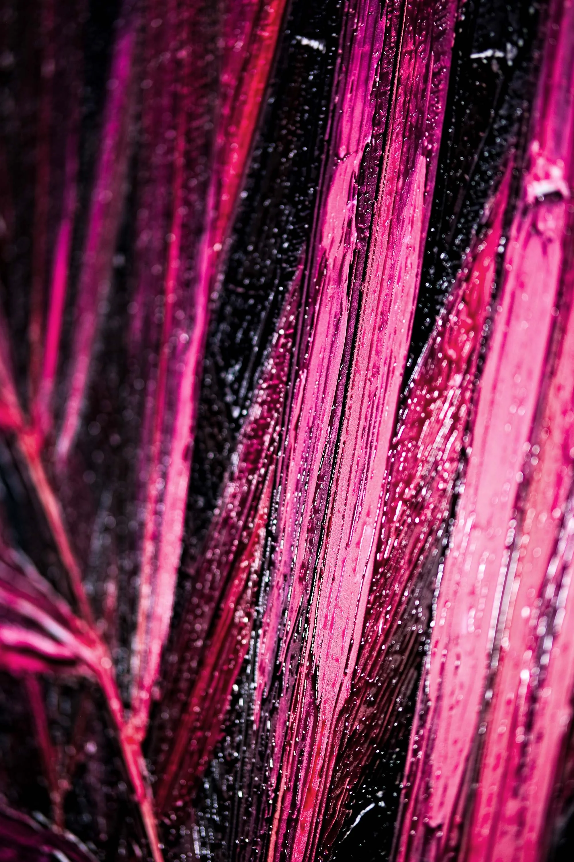 Magenta Midnight Frond — A Sculpted Pulse of Tropical Velvet - Image 5