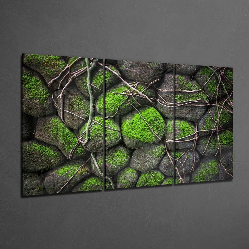 Mossy Stones Mega Glass Wall Art - Image 3