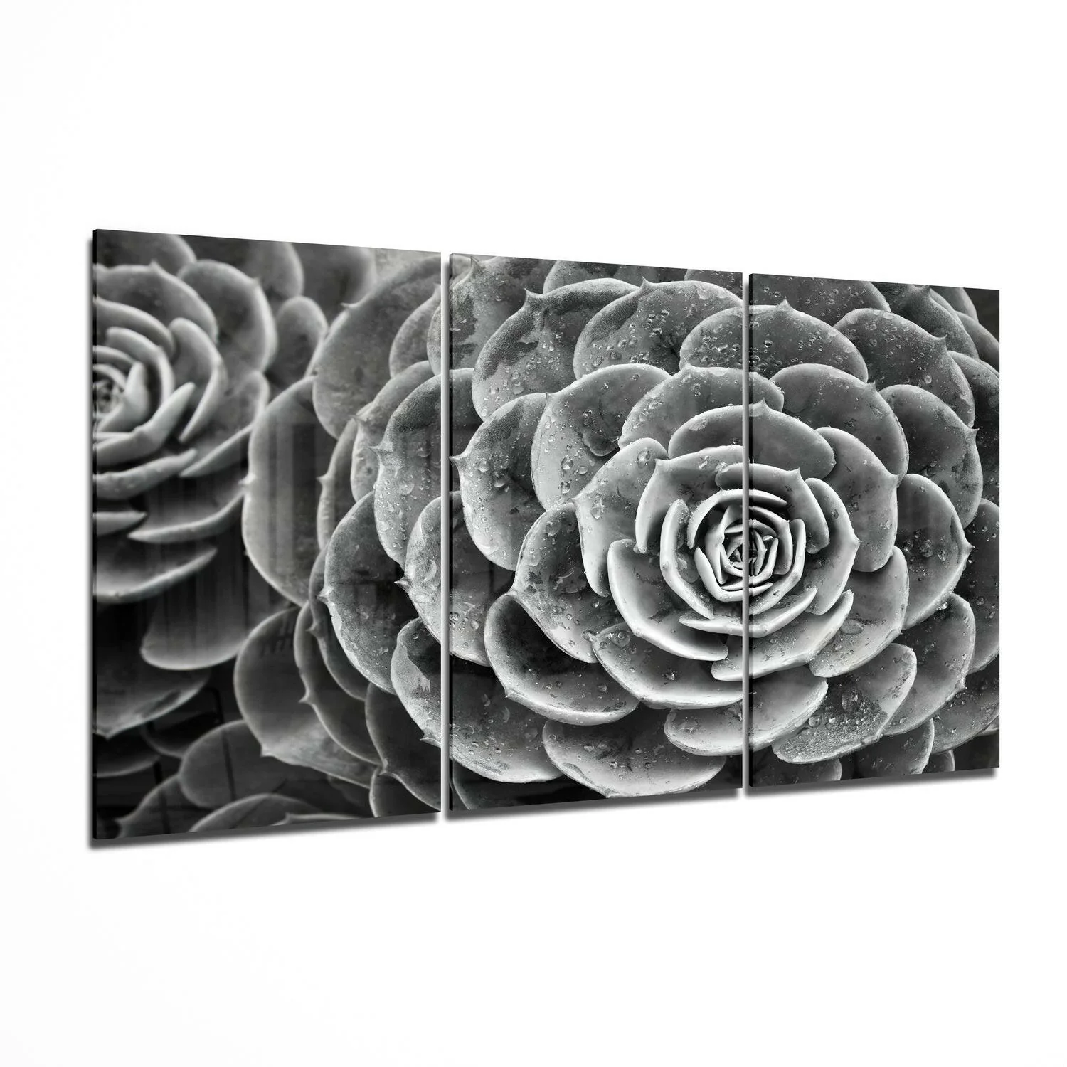 Succulent Glass Wall Art