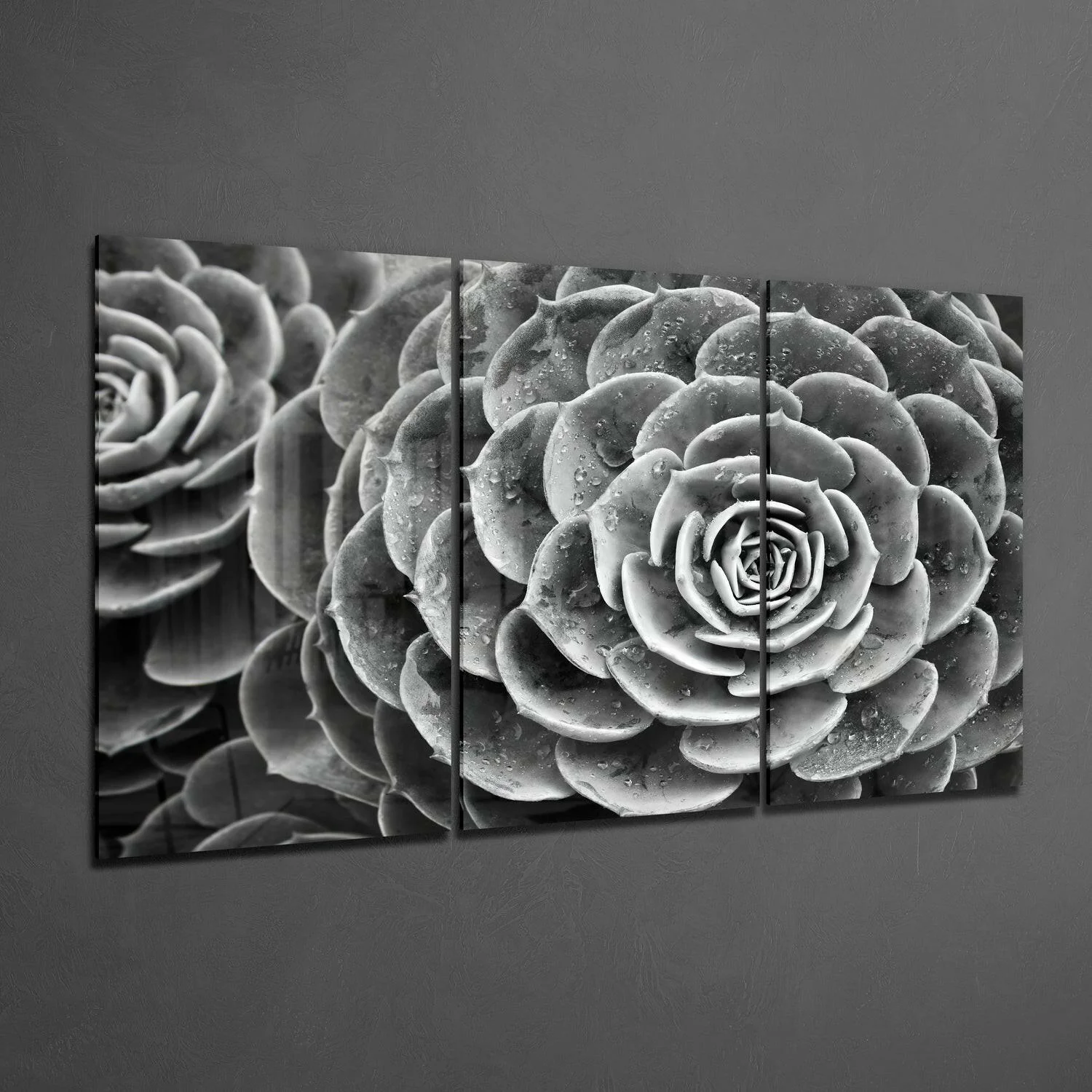 Succulent Glass Wall Art - Image 2