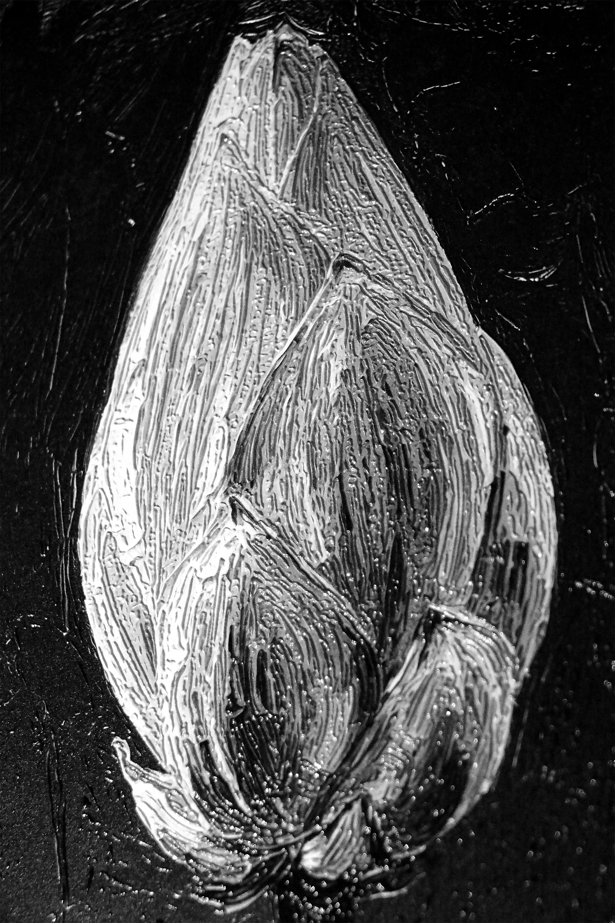 Monochrome Lotus Manifest — A Textured Vow in Black & White - Image 4