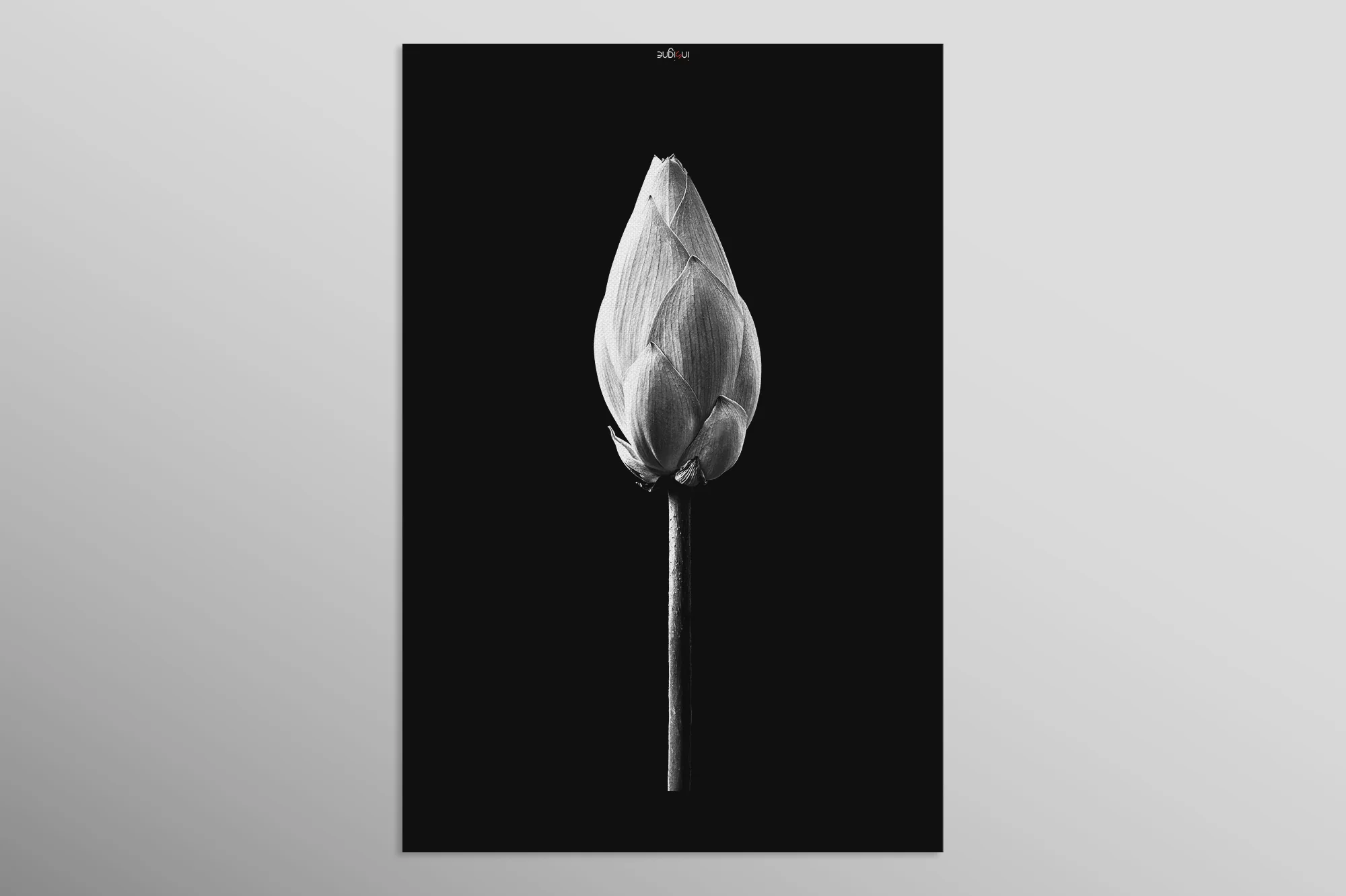 Noir Bloom Radiance — Haptic 3D Embossed + High-Gloss Lacquer Print - Image 10