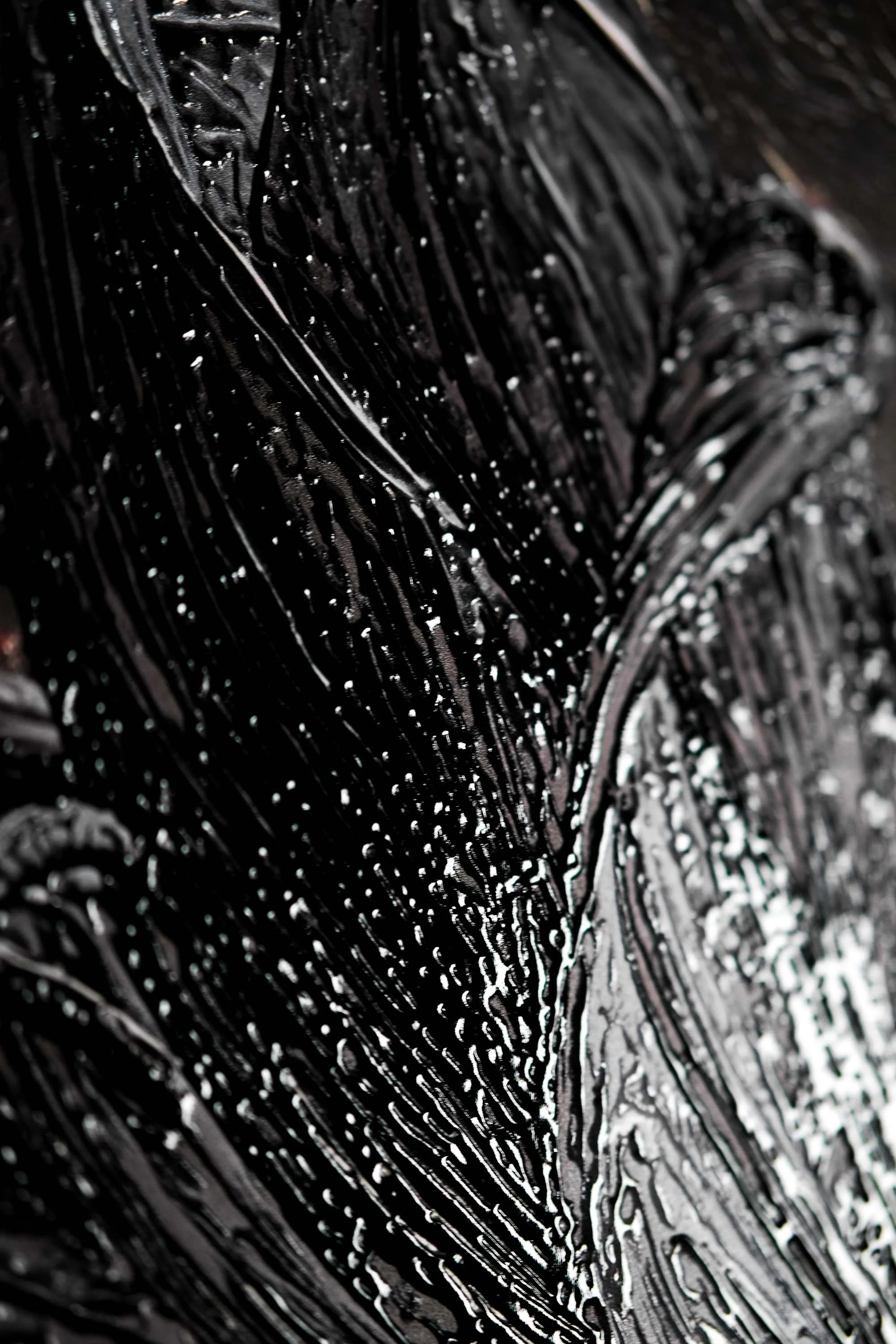 Noir Lilies & Gilded Shadows — 3D Haptic Embossed High-Gloss Luxury Wall Art - Image 2