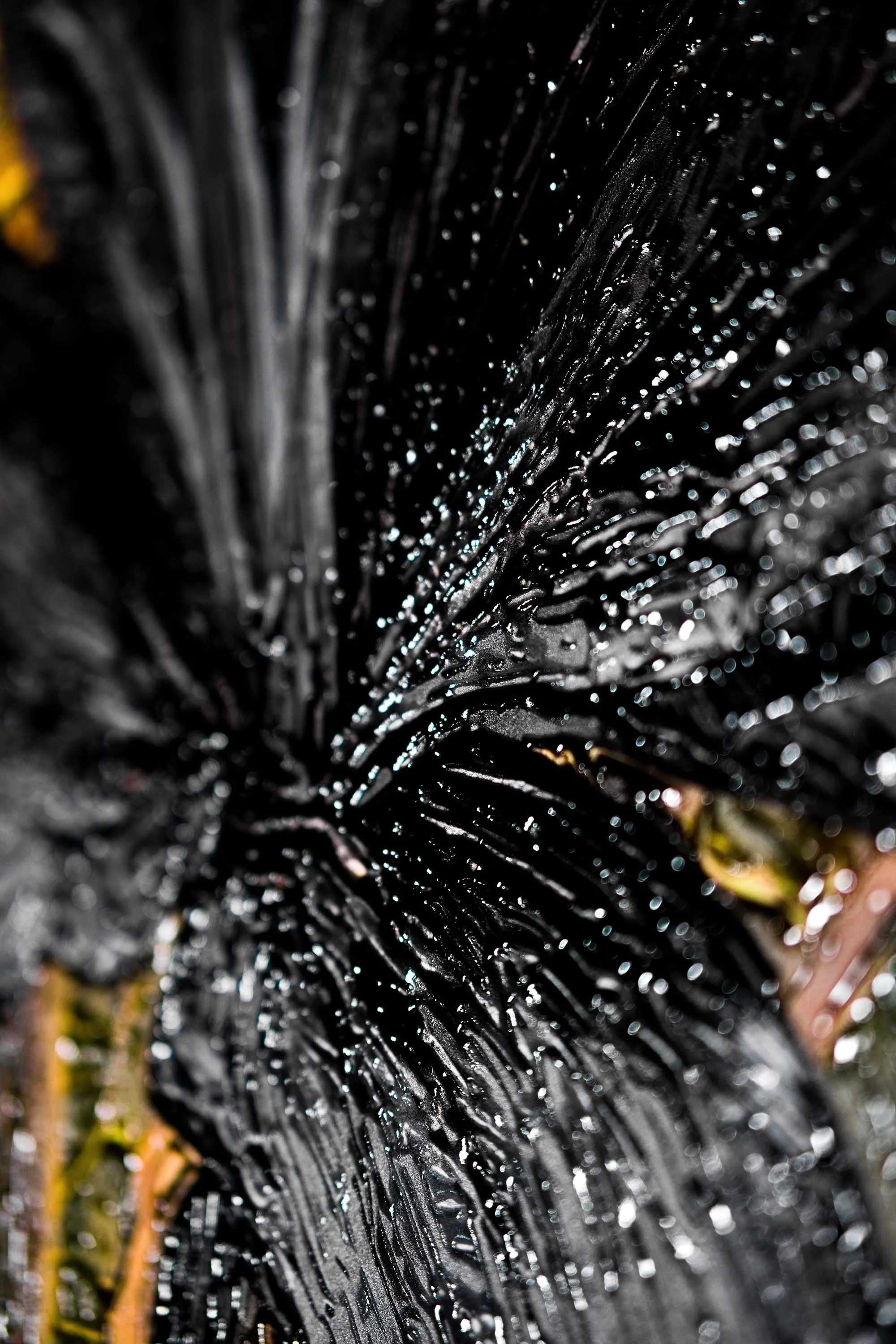 Noir Lilies & Gilded Shadows — 3D Haptic Embossed High-Gloss Luxury Wall Art - Image 3