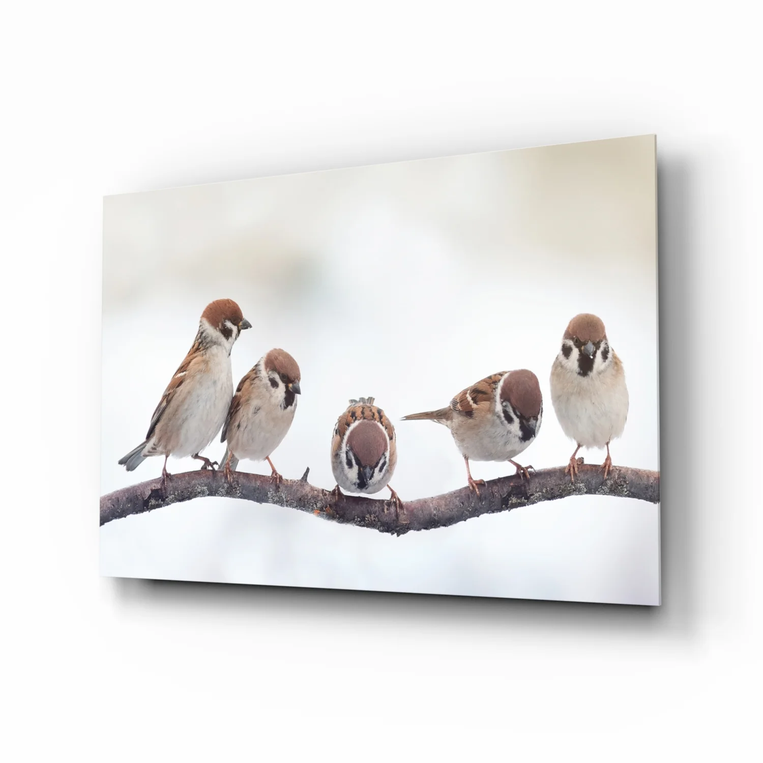 Birds Glass Wall Art - Image 2