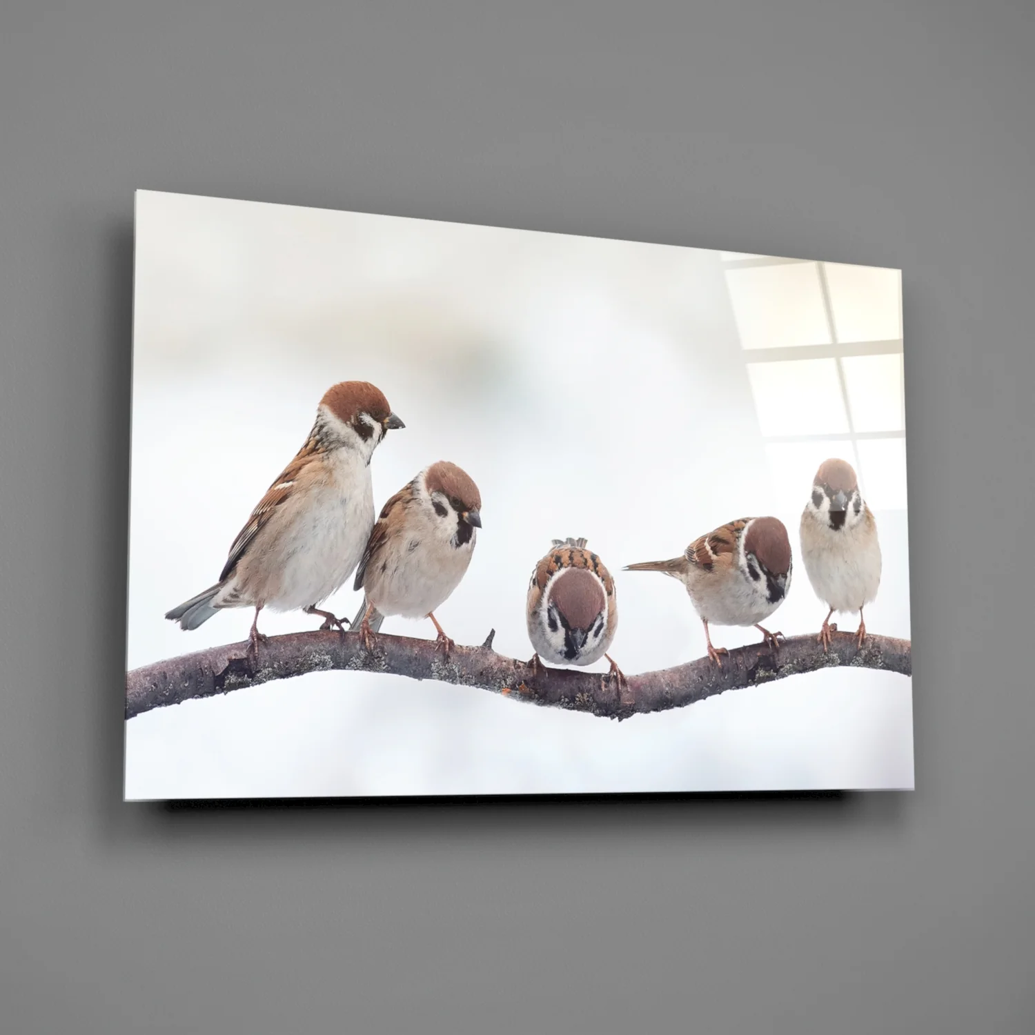 Birds Glass Wall Art - Image 3
