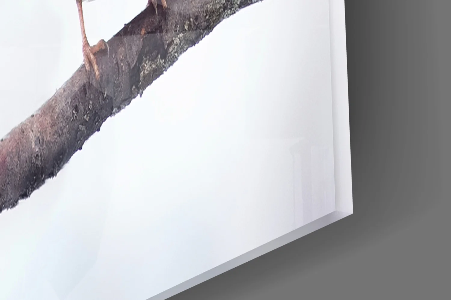 Birds Glass Wall Art - Image 8