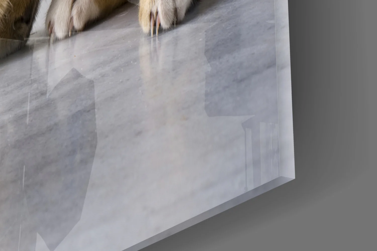 Cat Glass Wall Art - Image 7
