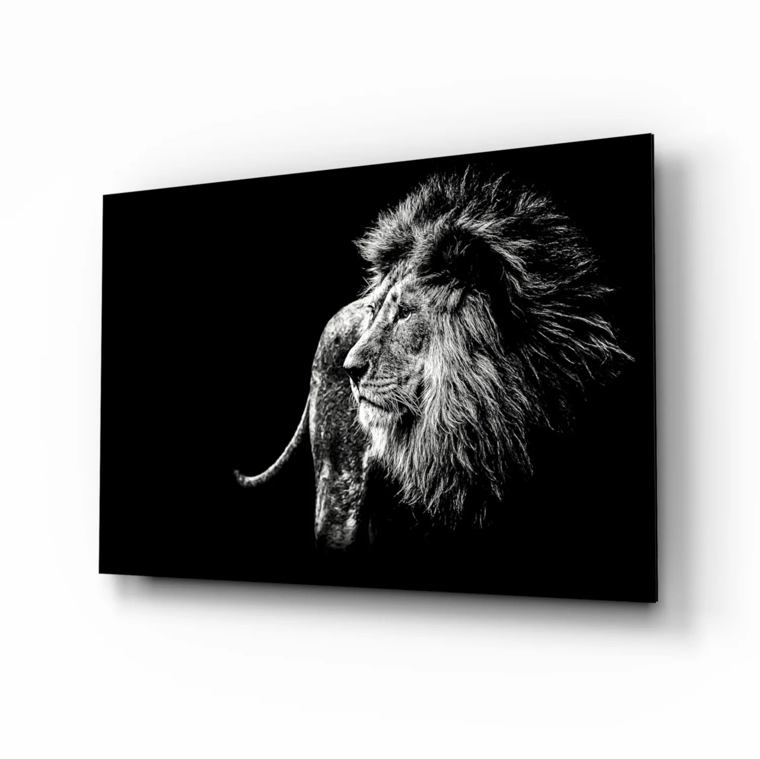 Lion Glass Wall Art