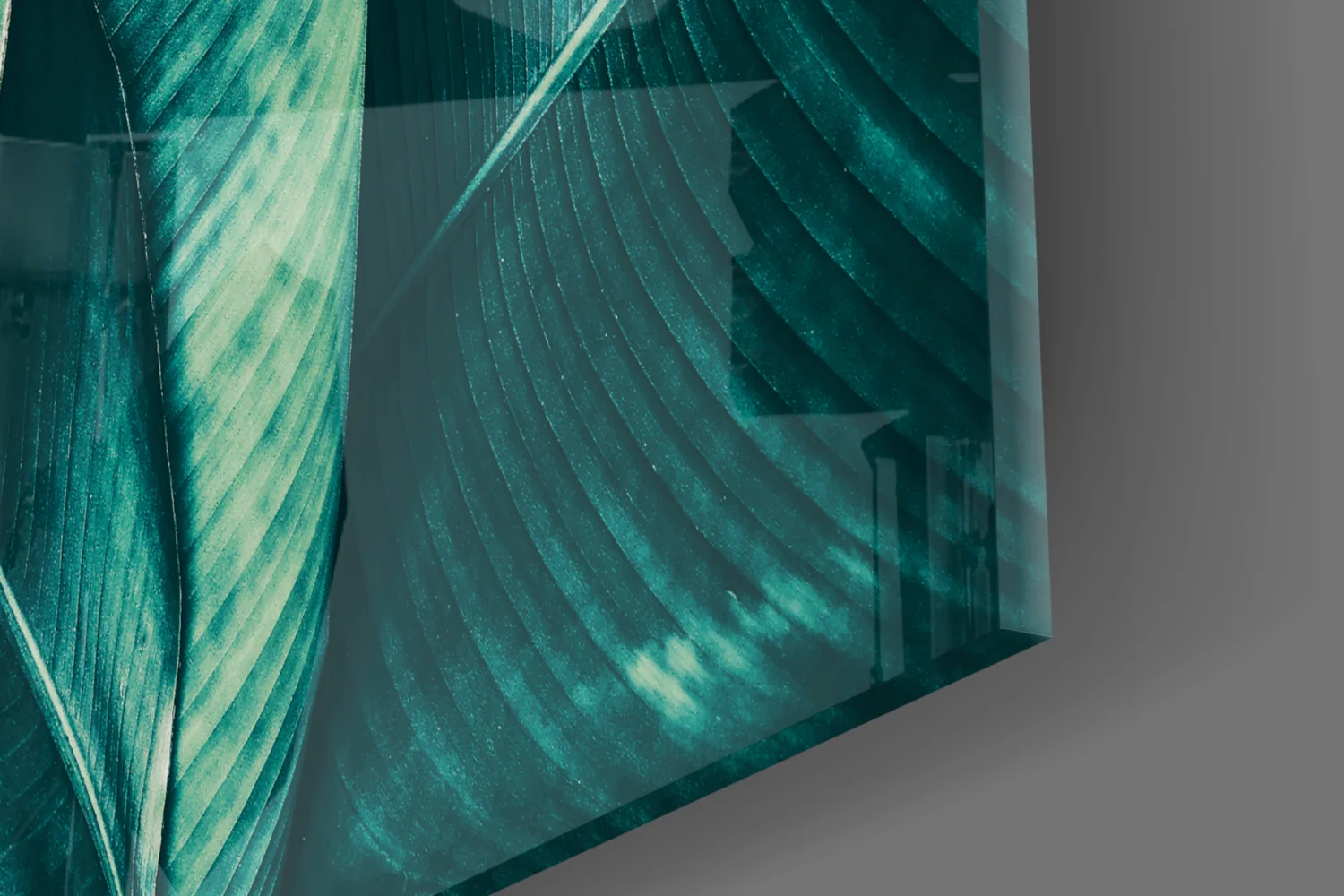 Green Tropical Leaf 2 Glass Wall Art - Image 7