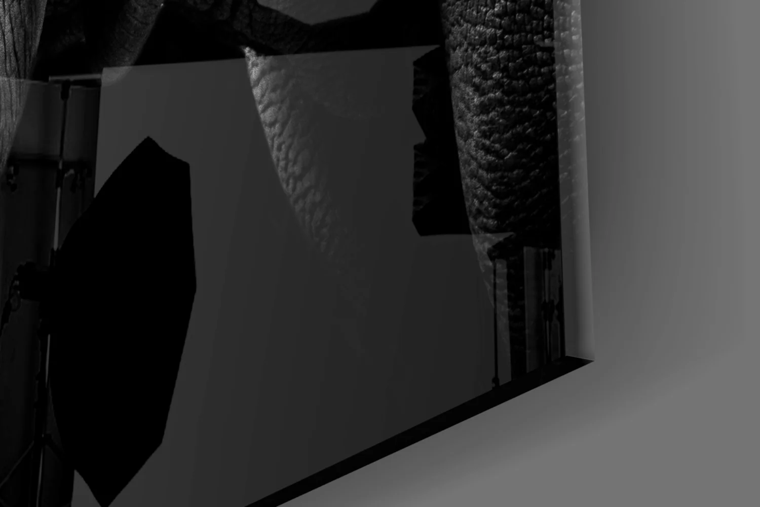 Rhino Glass Wall Art - Image 7