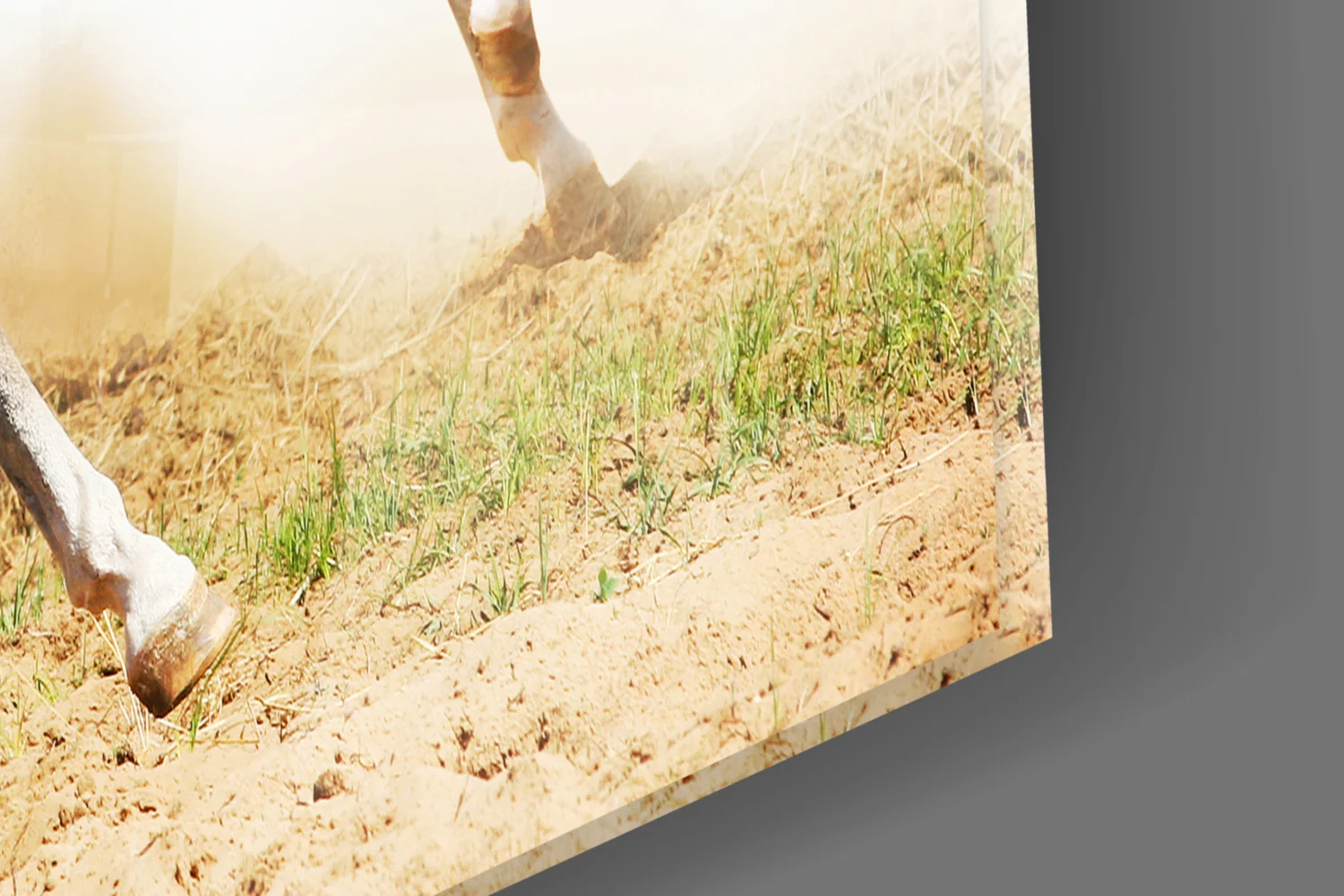 Running Horses Glass Wall Art - Image 7