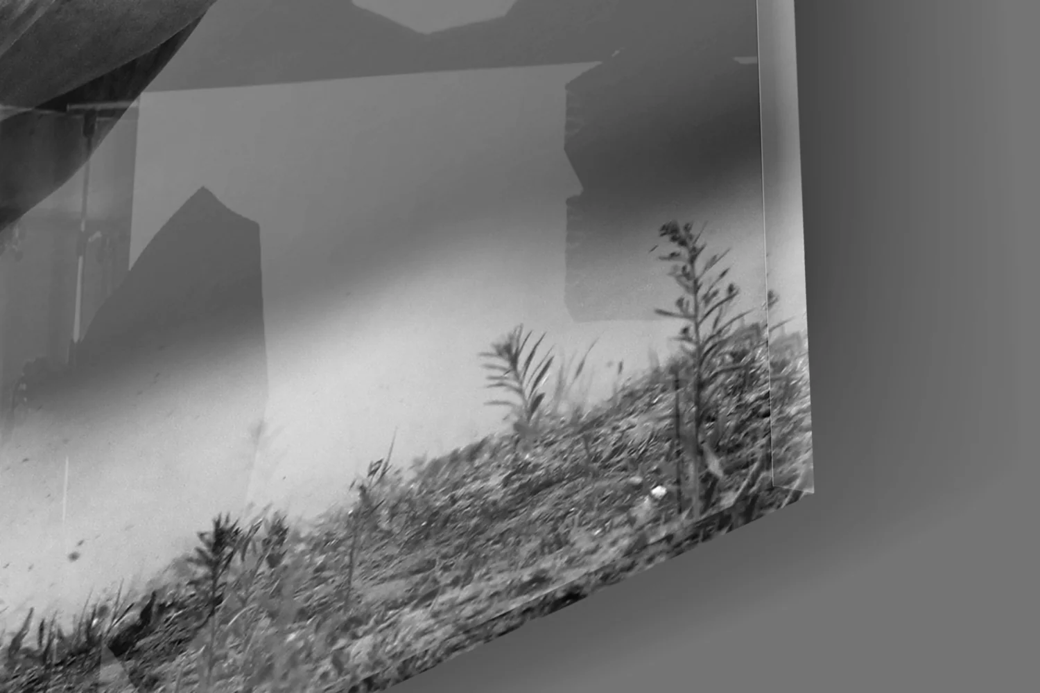 Running Horse Glass Wall Art - Image 7