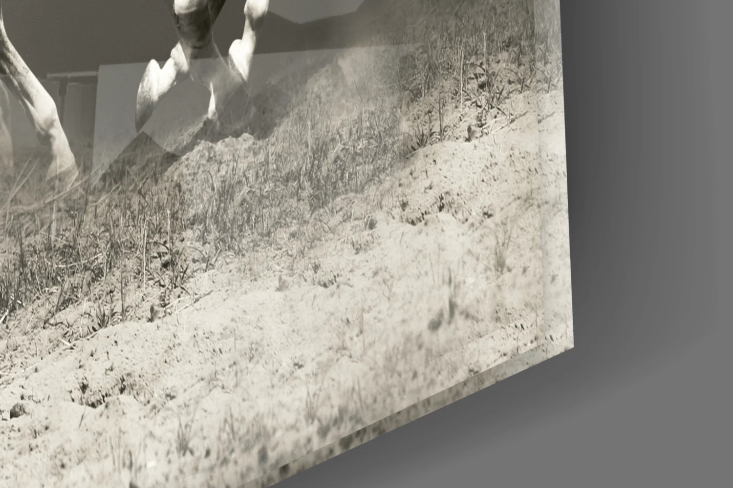 Running Horses Glass Wall Art - Image 7