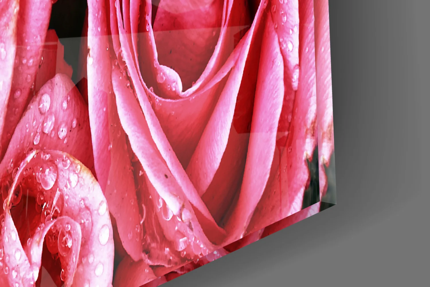 Pink Rose Glass Wall Art - Image 7