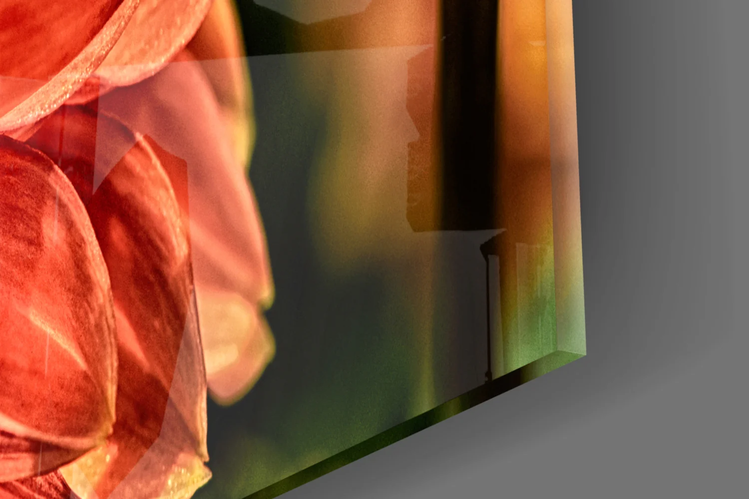 Orange Gerbera Glass Wall Art - Image 7