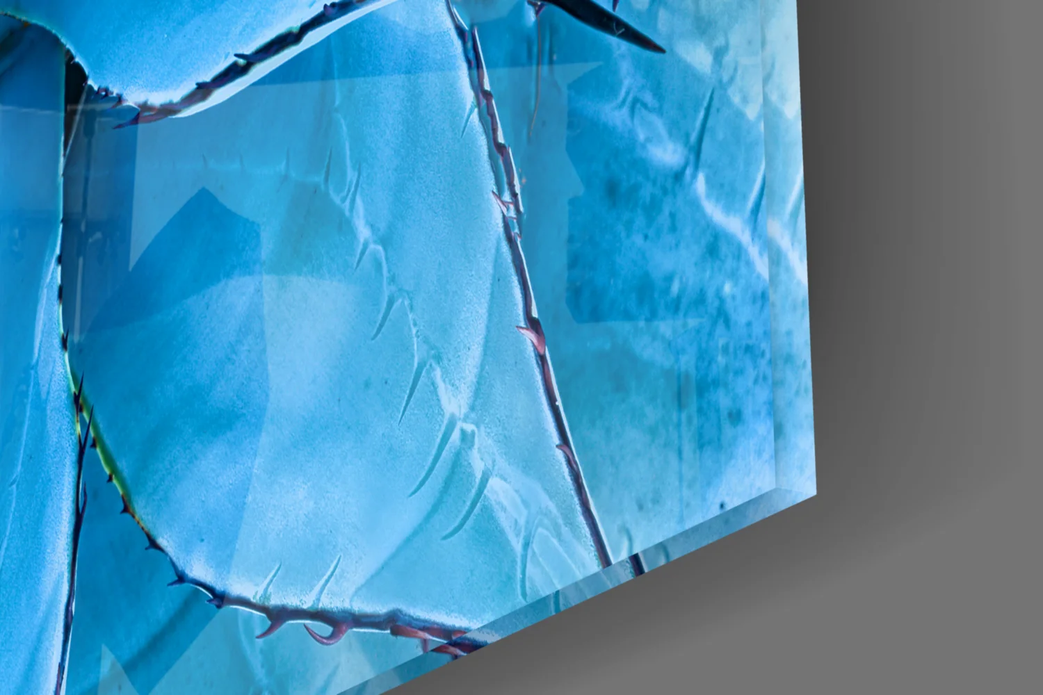 Micro Flower Glass Wall Art - Image 7