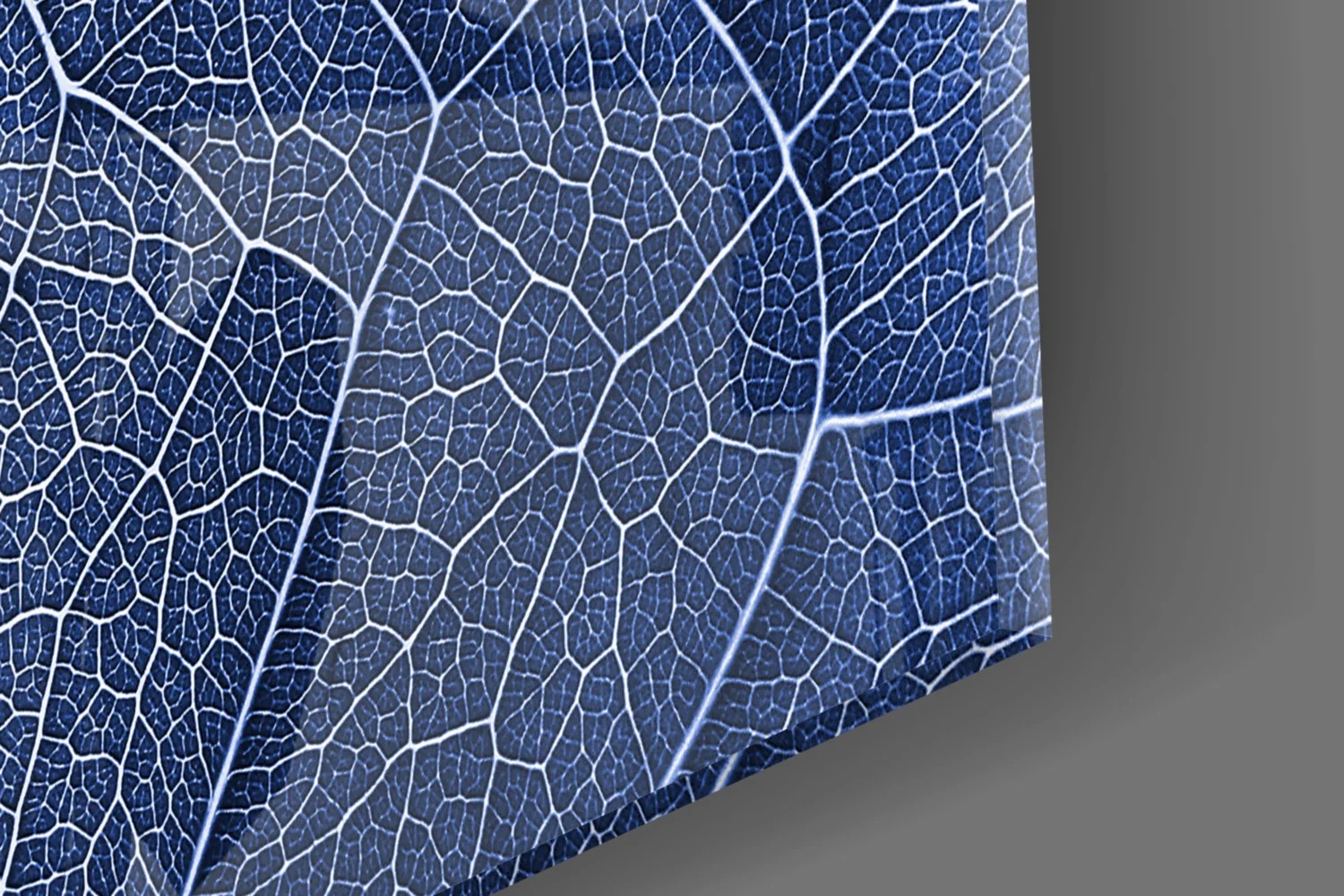 Macro Blue Leaf Glass Wall Art - Image 7