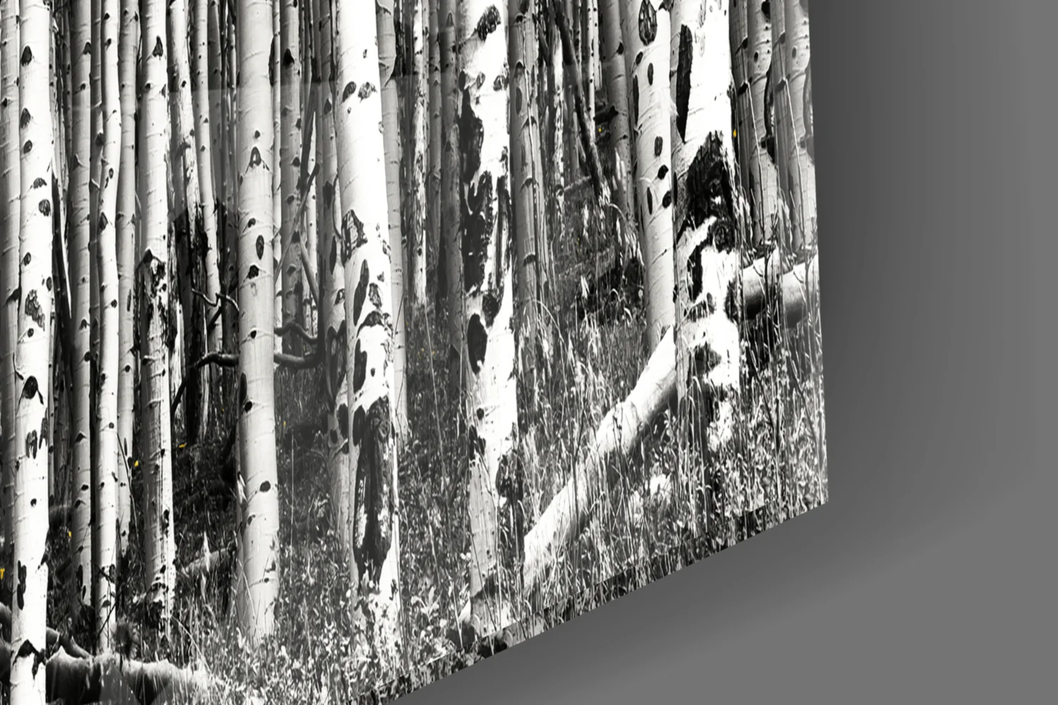 Yellow Forest Glass Wall Art - Image 7