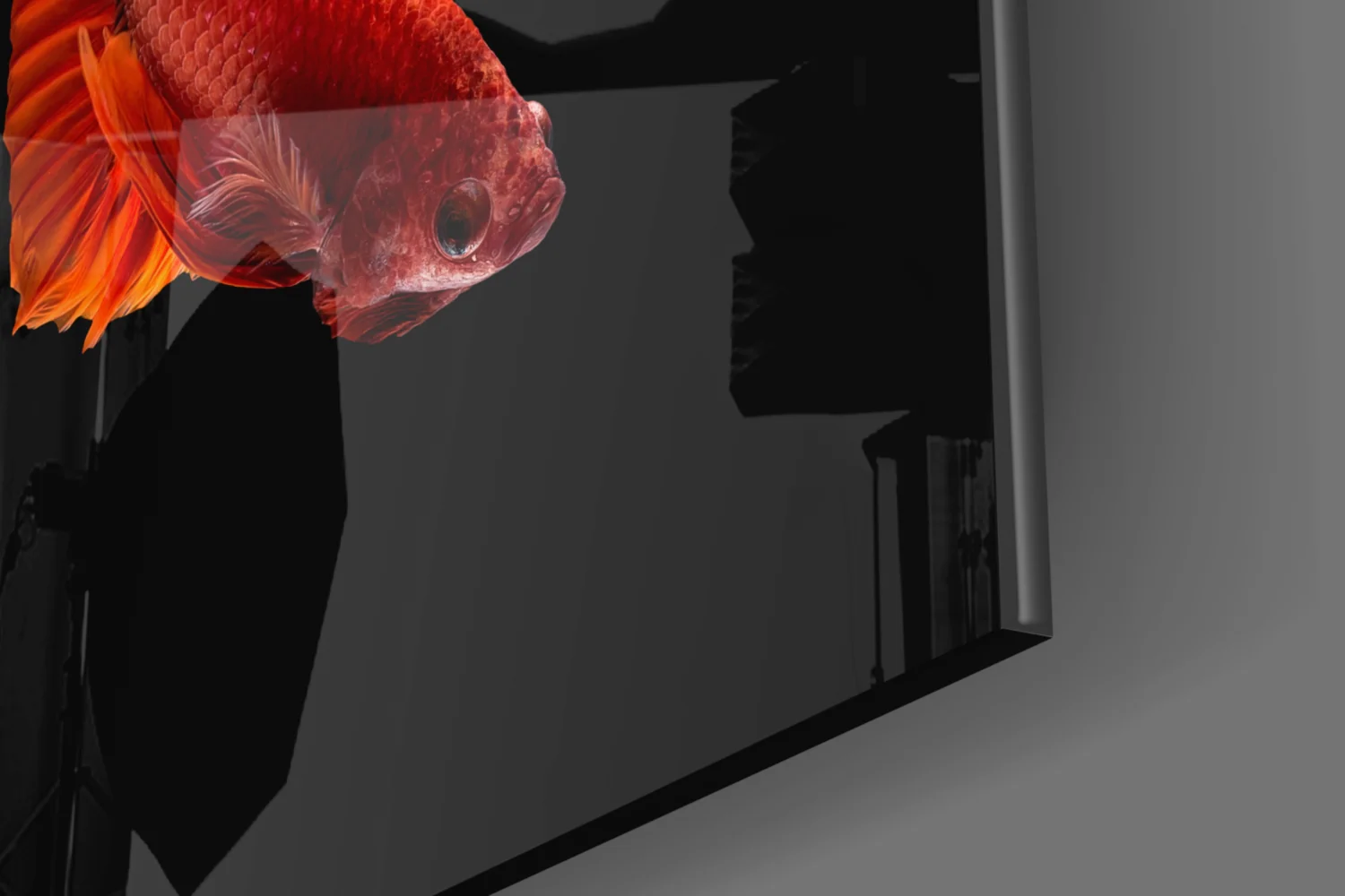 Betta's Dance Glass Wall Art - Image 7