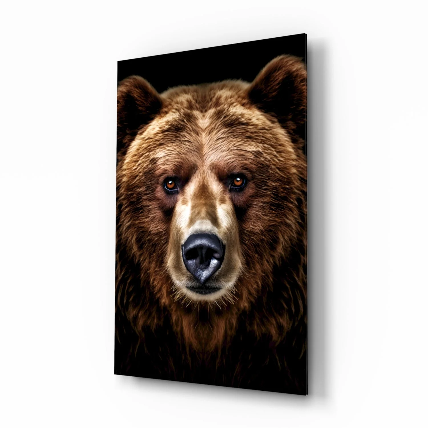 Bear, the Wise Man of the Forest Glass Wall Art || Designer Collection - Image 2