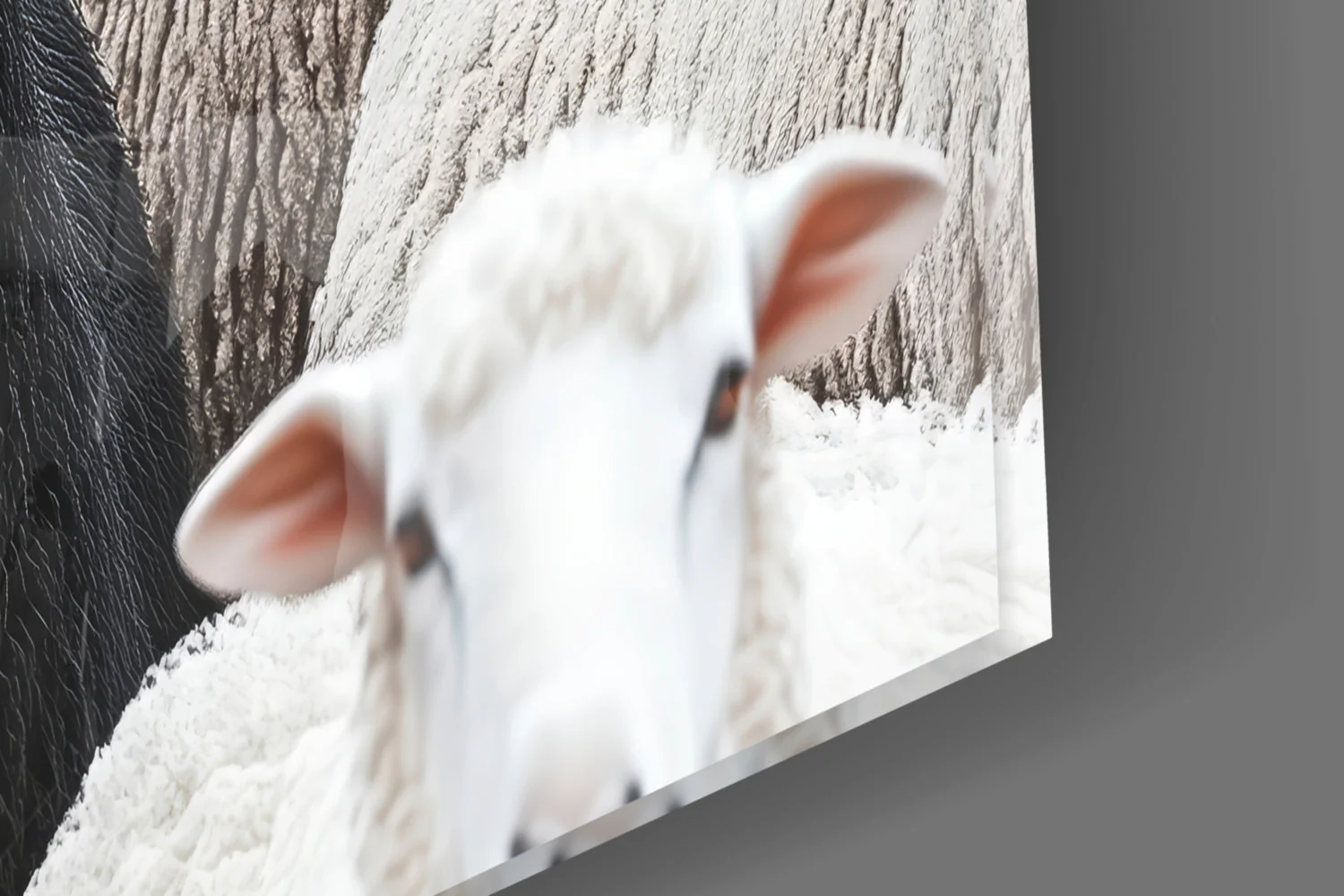 The Difference of the Black Lamb Flock Glass Wall Art || Designer Collection - Image 8