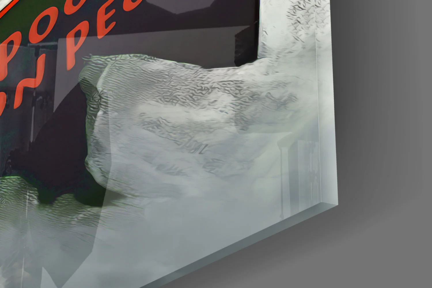 Educated Seagull Glass Wall Art || Designer Collection - Image 7
