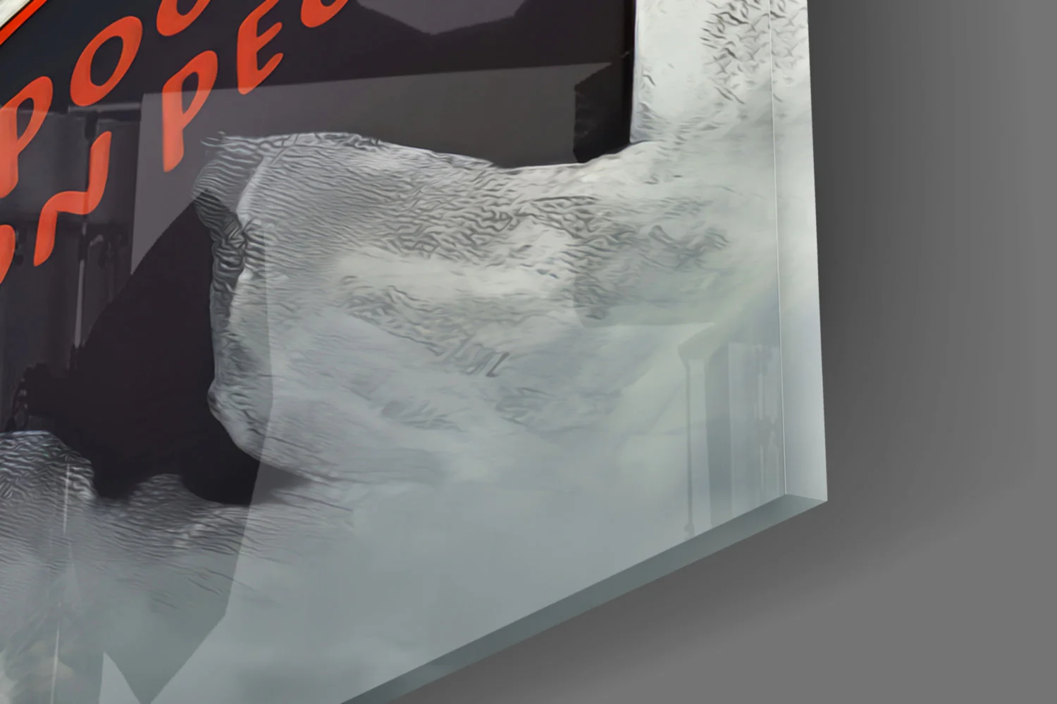Wise Seagull Glass Wall Art || Designer Collection - Image 7