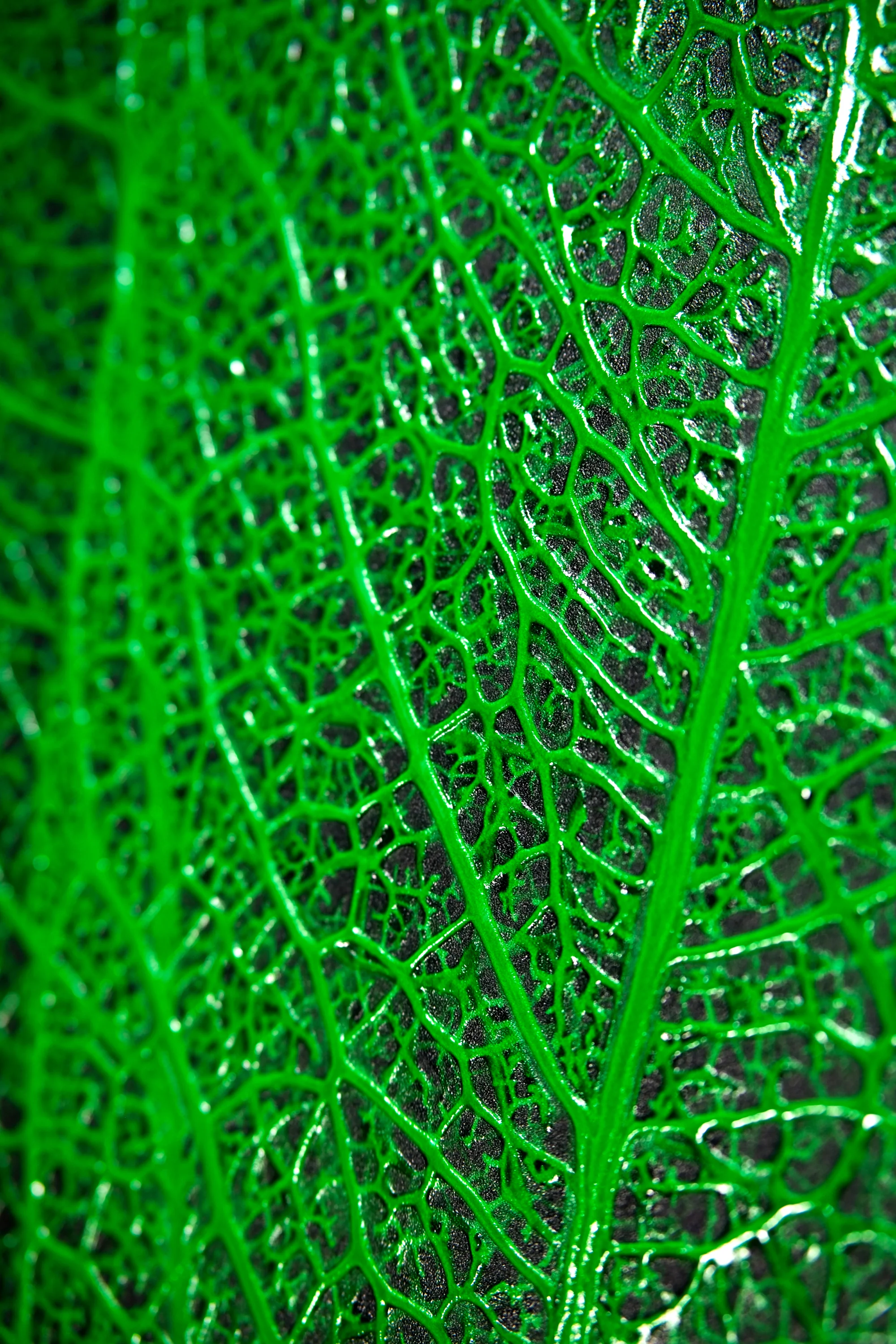 Verdant Lattice — Haptic 3D Embossed + High-Gloss Lacquer Print - Image 2