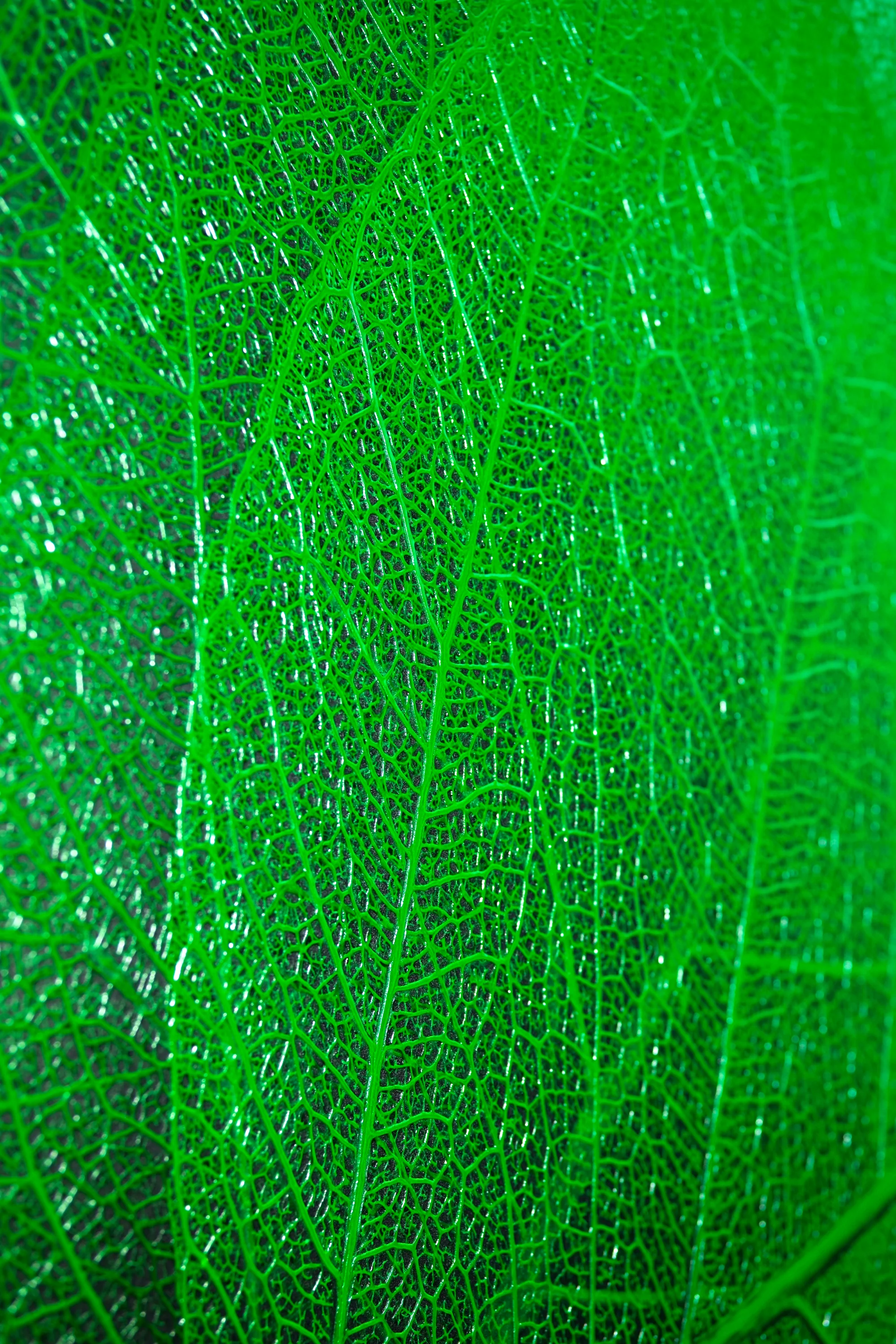 Verdant Lattice — Haptic 3D Embossed + High-Gloss Lacquer Print - Image 4