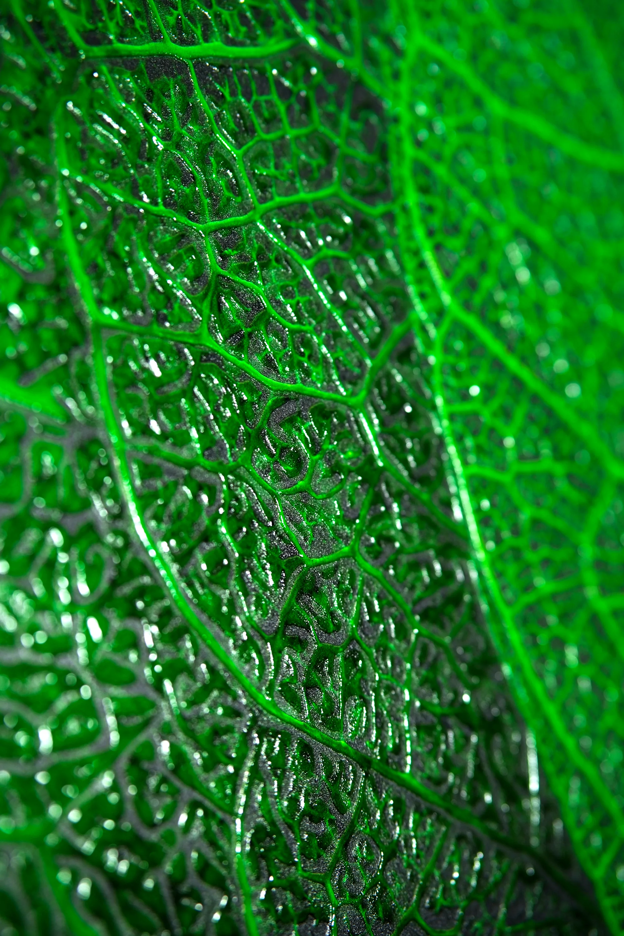 Verdant Lattice — Haptic 3D Embossed + High-Gloss Lacquer Print - Image 7