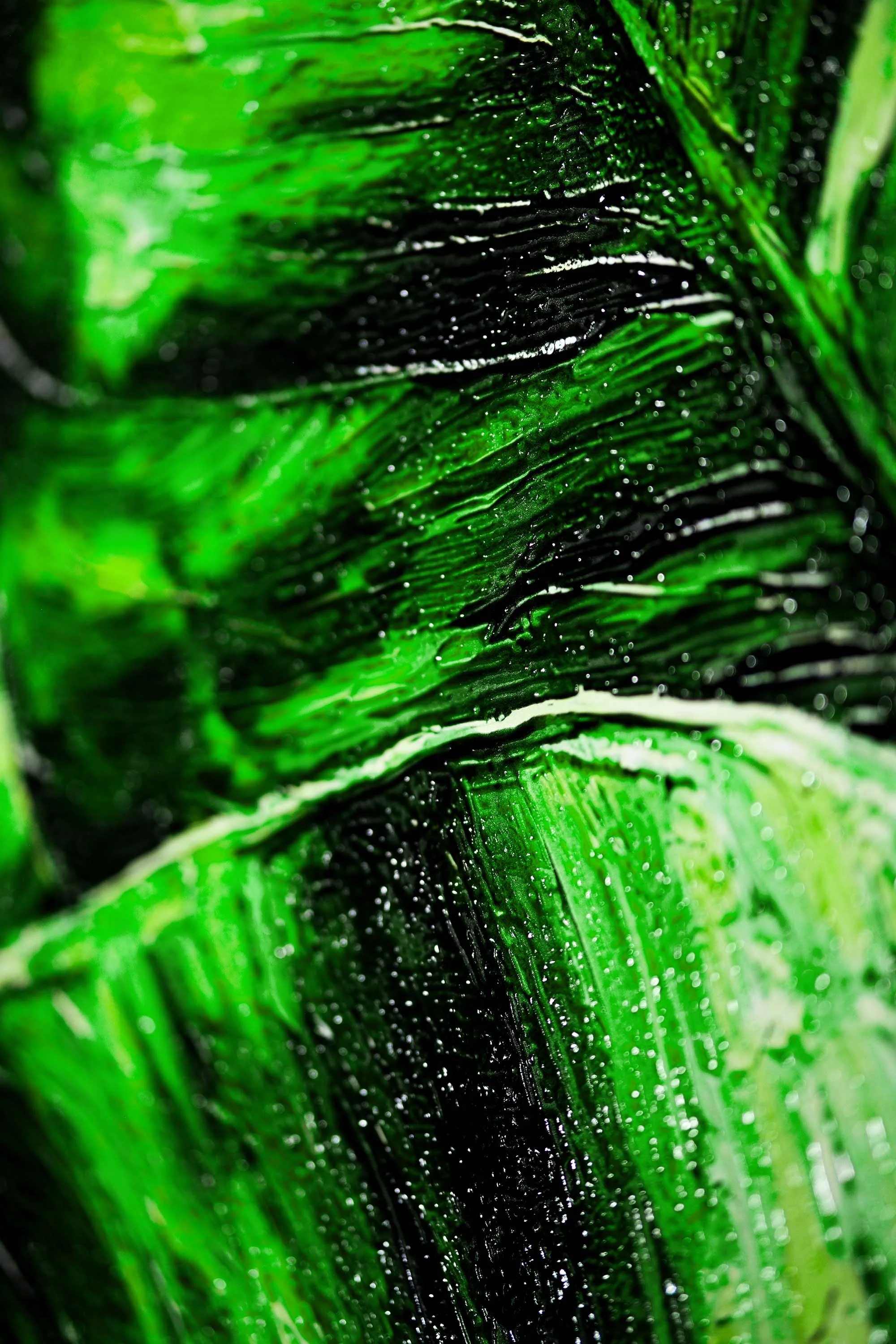 Verdant Tropics Infusion — 3D Haptic Embossed High-Gloss Luxury Wall Art - Image 2