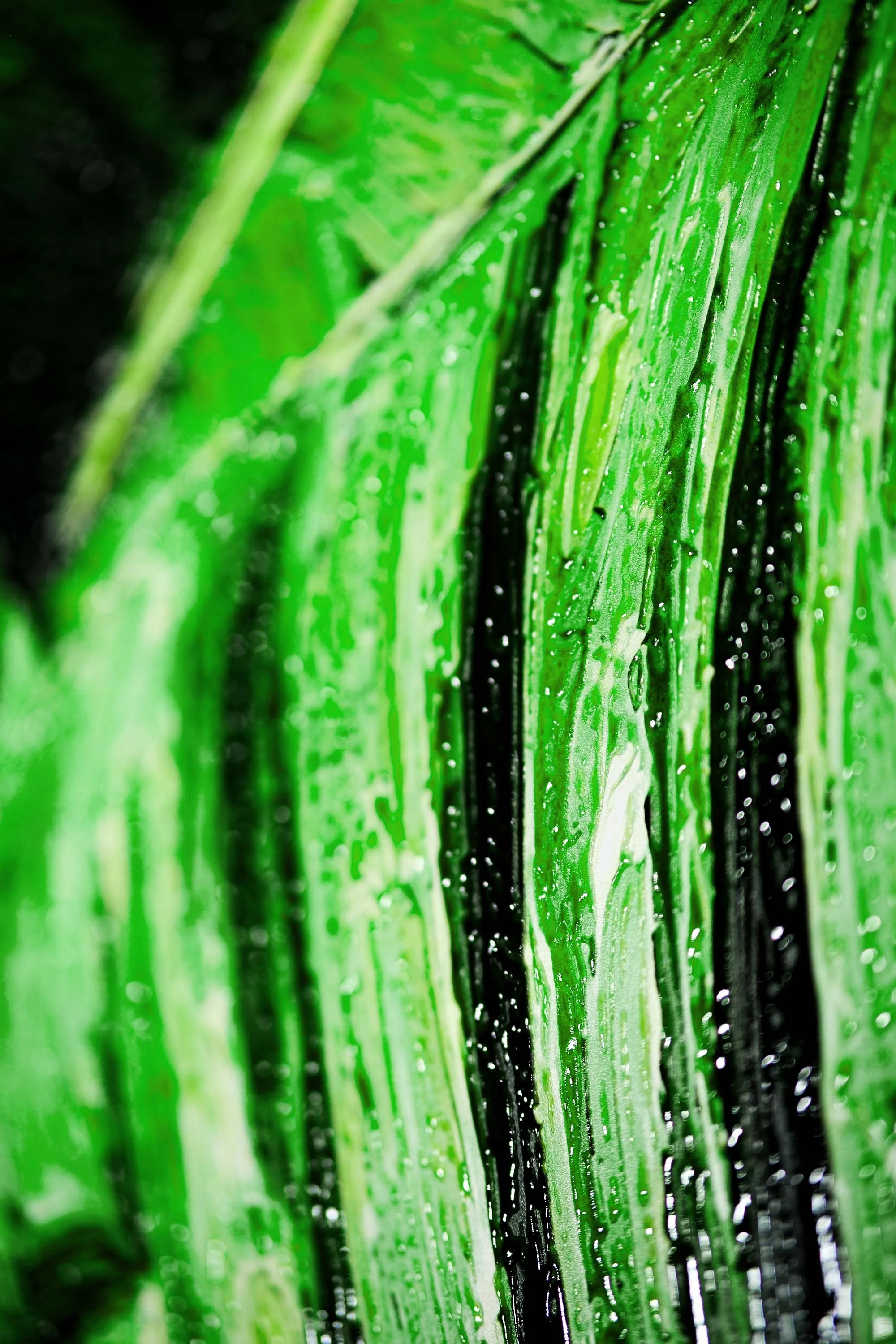 Verdant Tropics Infusion — 3D Haptic Embossed High-Gloss Luxury Wall Art - Image 4