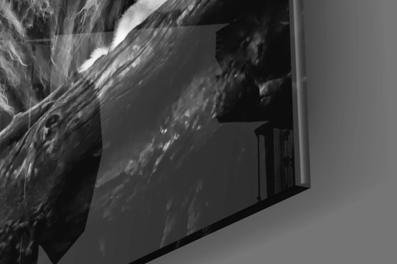 Lion Glass Wall Art - Image 7