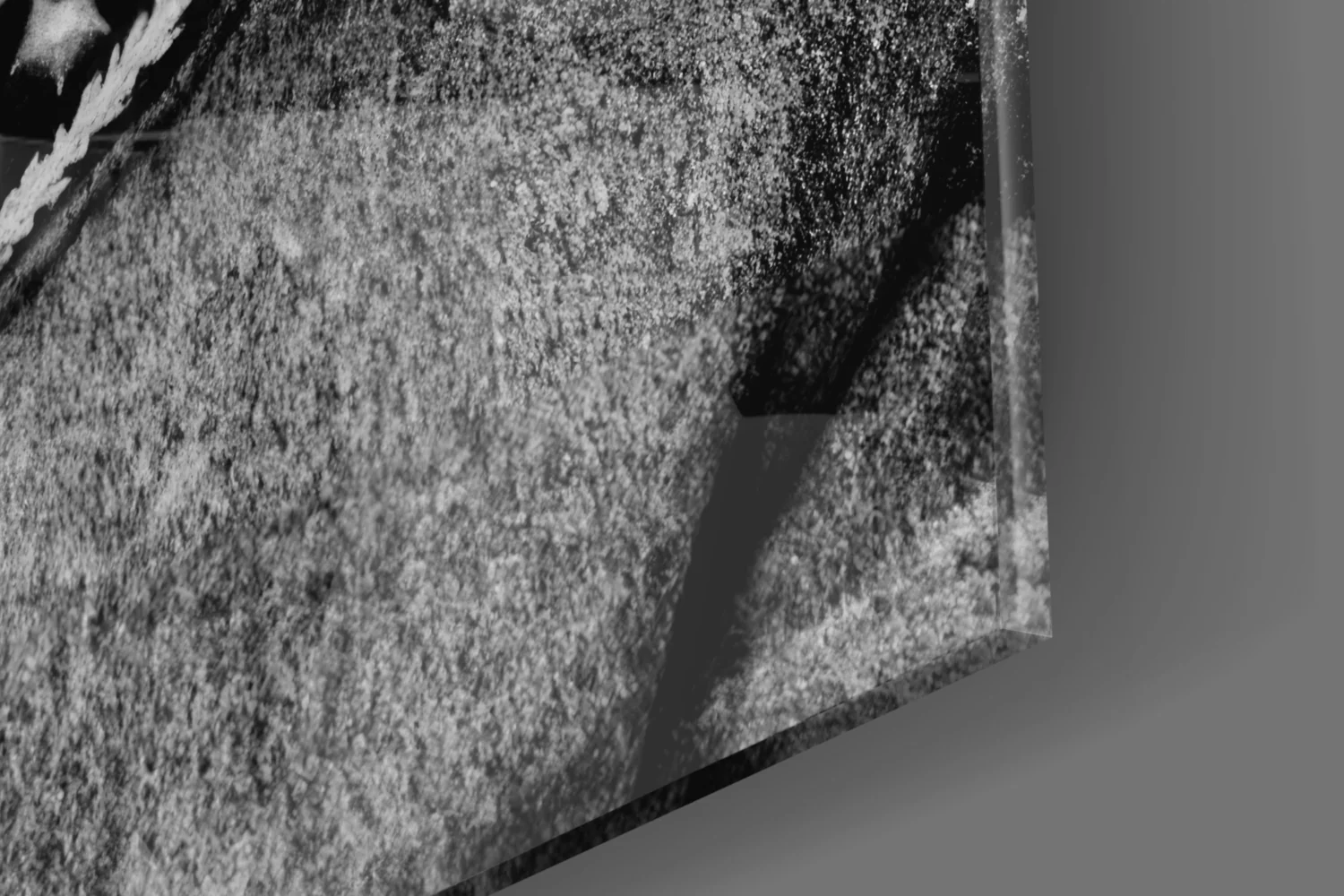 Ataturk  Glass Wall Art - Image 7