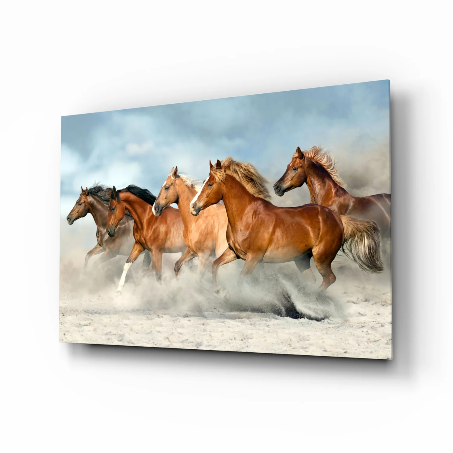 Horses Glass Wall Art