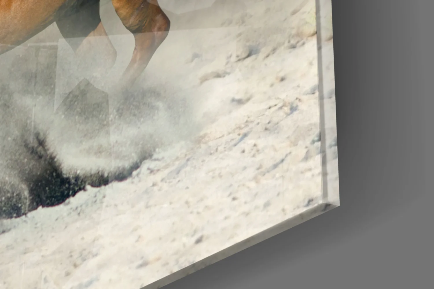 Horses Glass Wall Art - Image 7