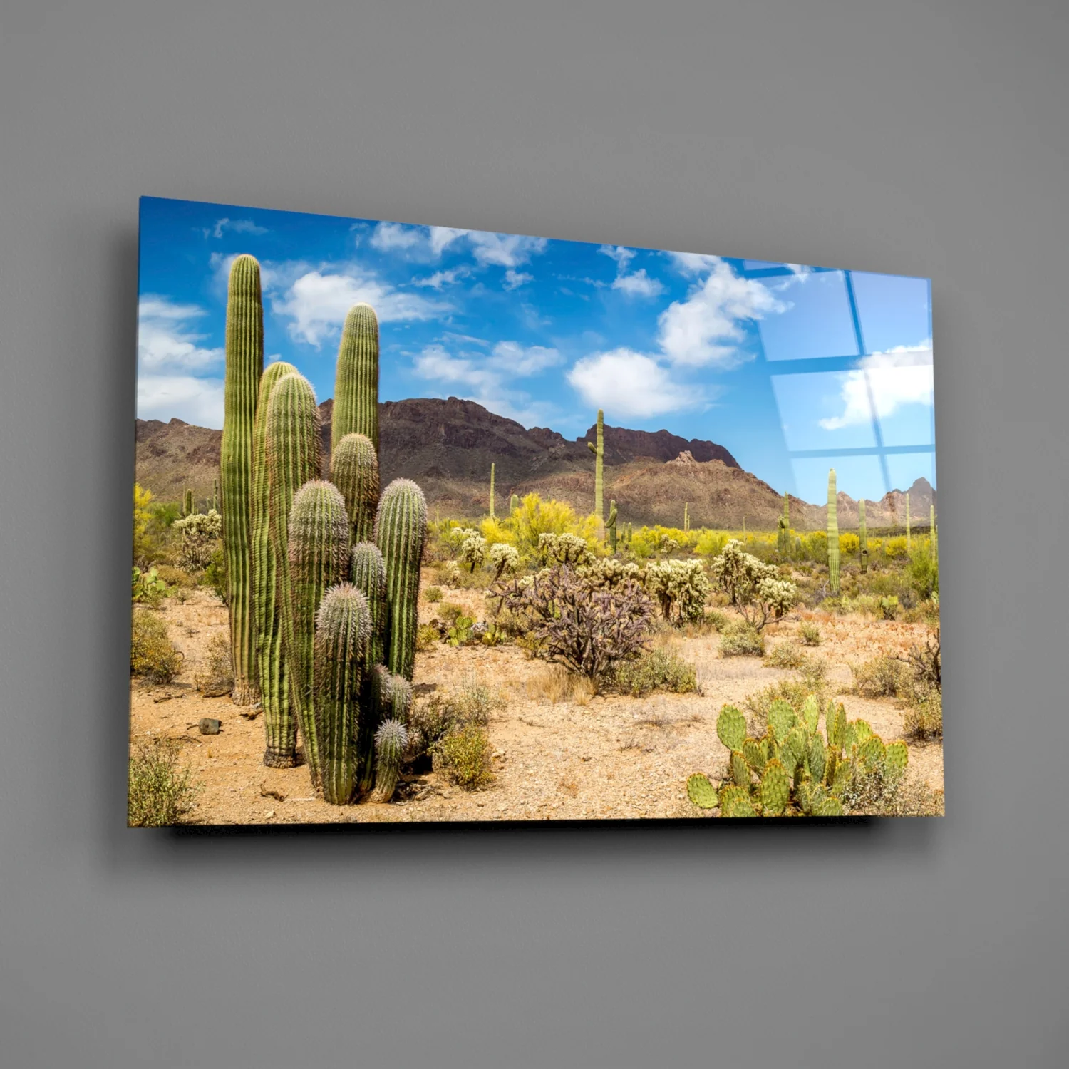 Cactuses Glass Wall Art - Image 2