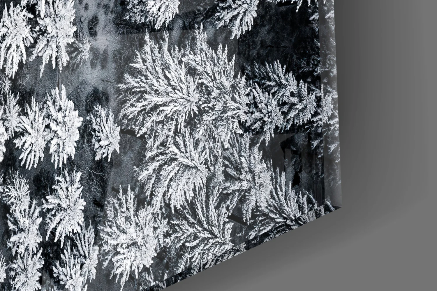 Forest Landscape Glass Wall Art - Image 7