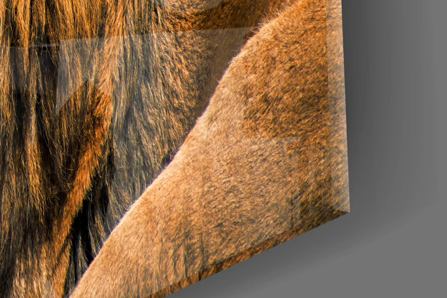Lion Glass Wall Art - Image 7